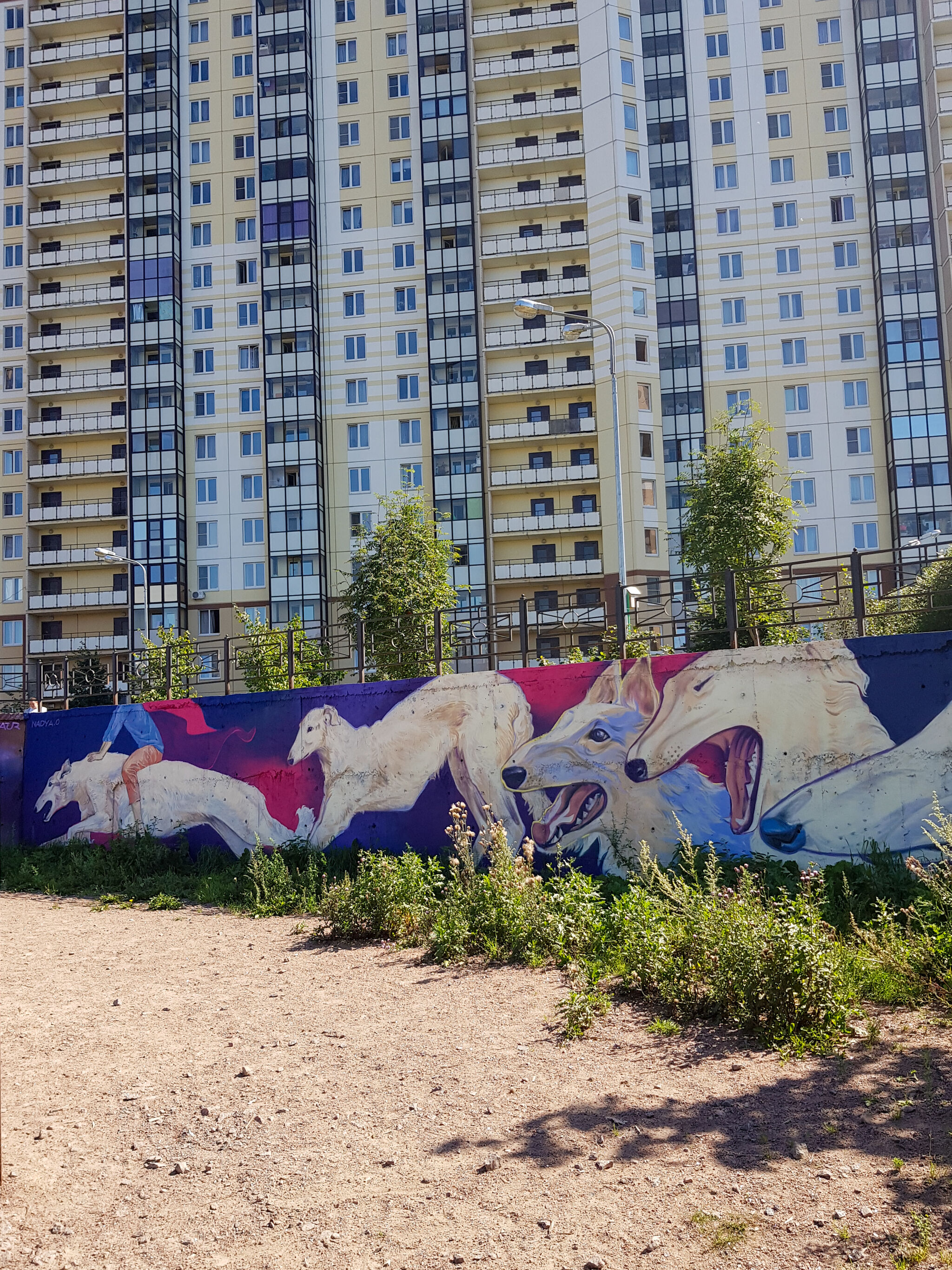 Nadezhda Opalinskaya, 7aur&mdash;Dog playground