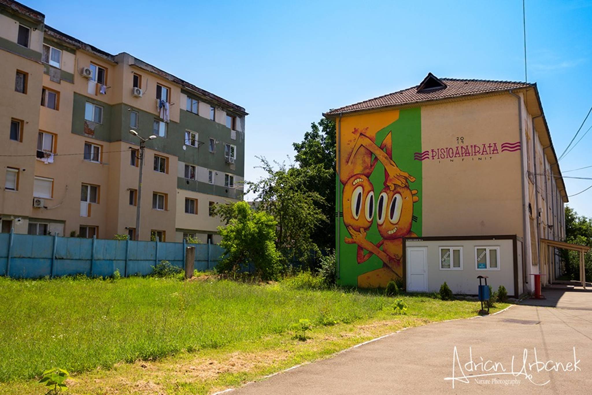 Pisica Pătrată (Square Cat)&mdash;Infinity