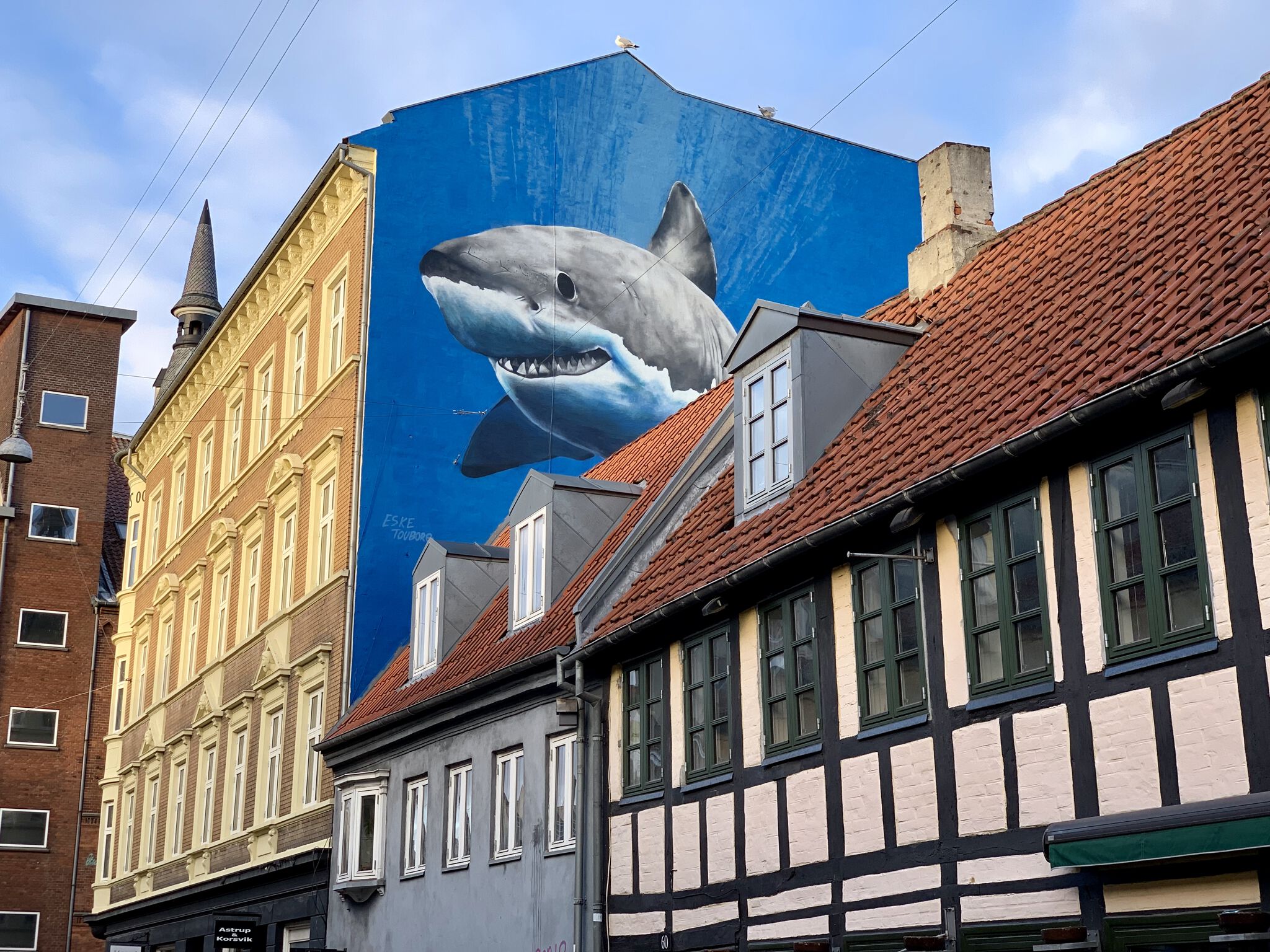 Eske Touborg&mdash;Hvidhajen