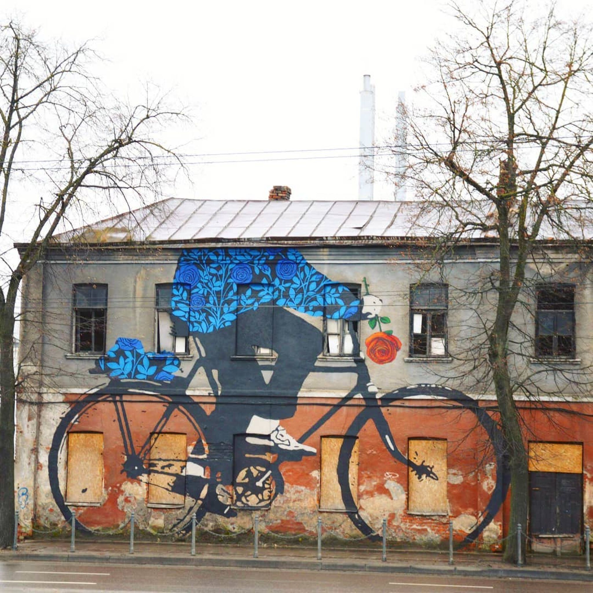 Žygimantas Amelynas, Tadas Šimkus&mdash;Bicyclist with a rose