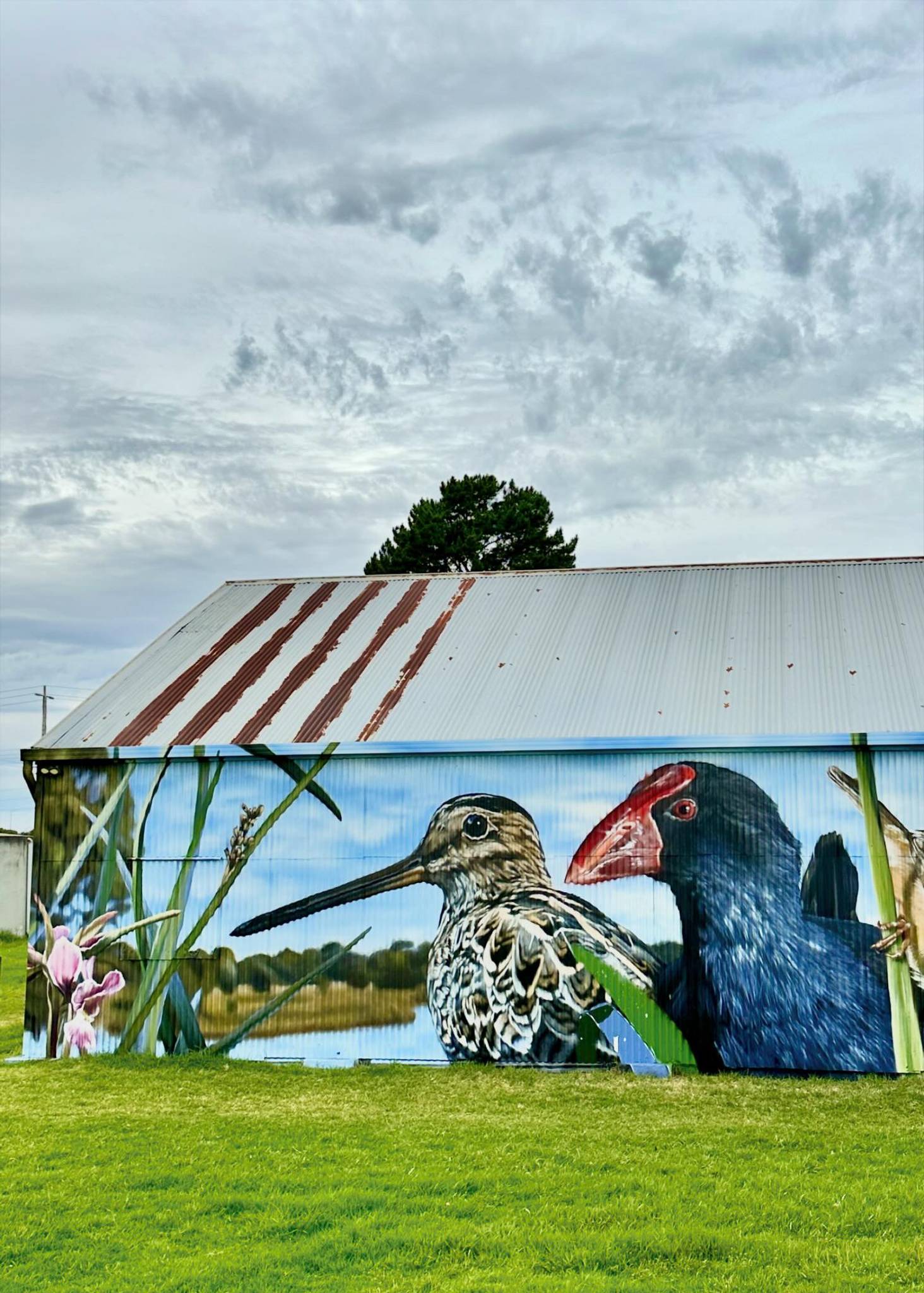 Dvate&mdash;Down’s Community Farm