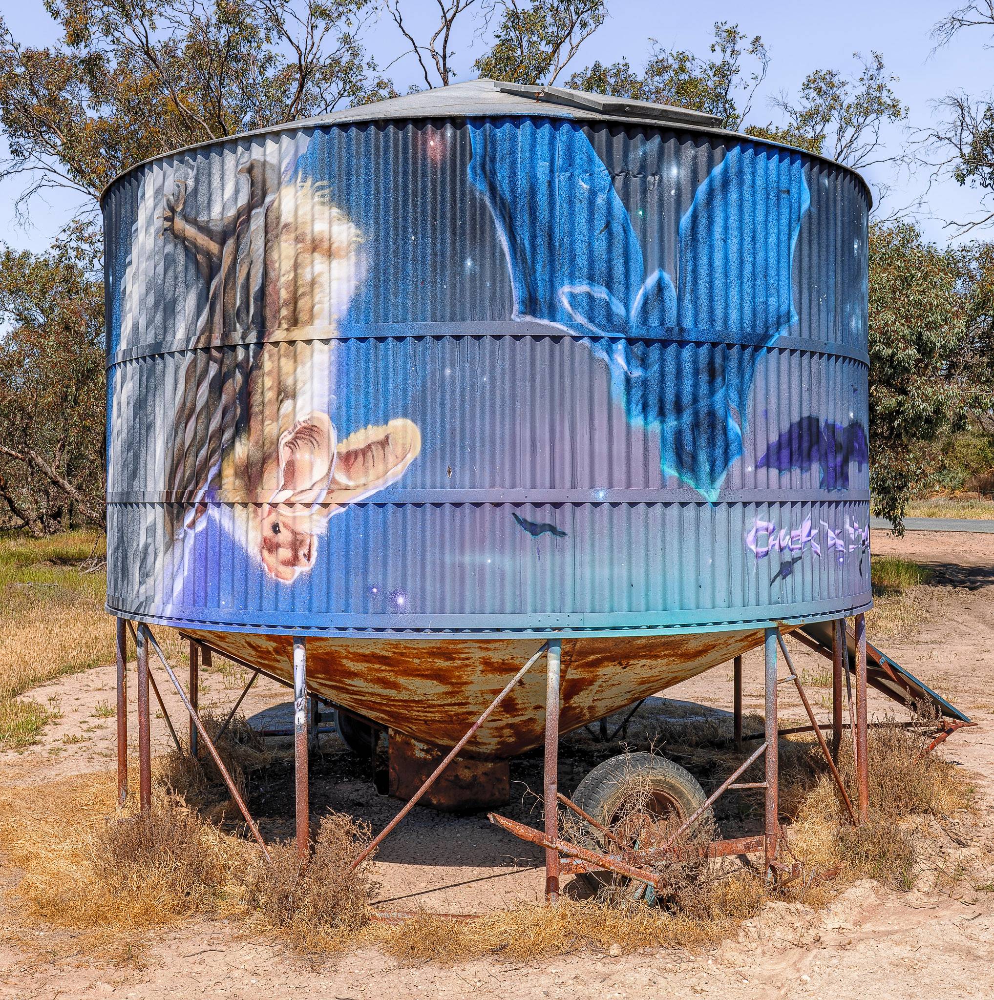 Bryan Itch, Chuck Mayfield&mdash;South-eastern Long-Eared Bat and Major Mitchell’s Cockatoo