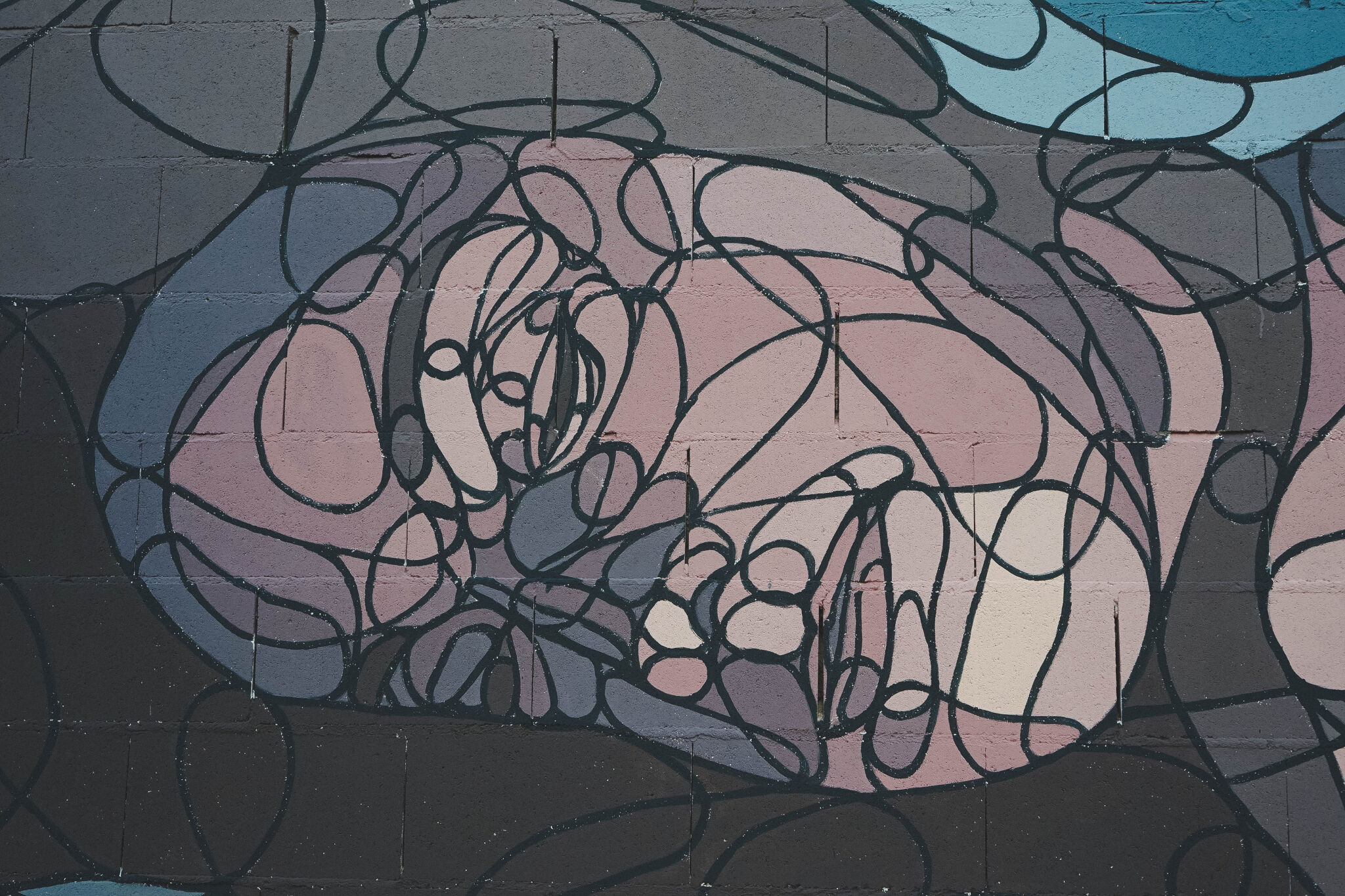 taquen&mdash;Leticia