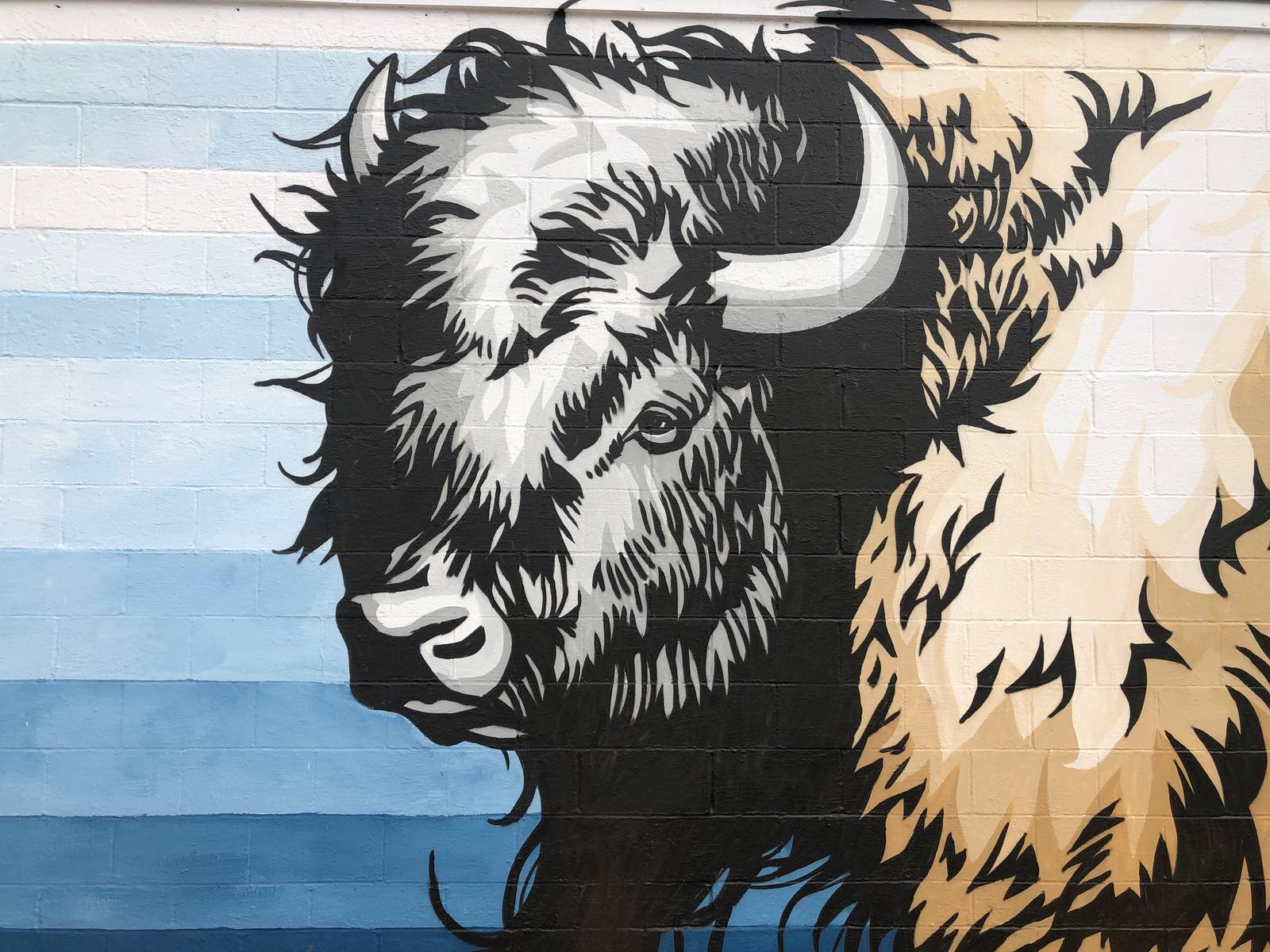 Matt Tumlinson&mdash;Bison or Buffalo?