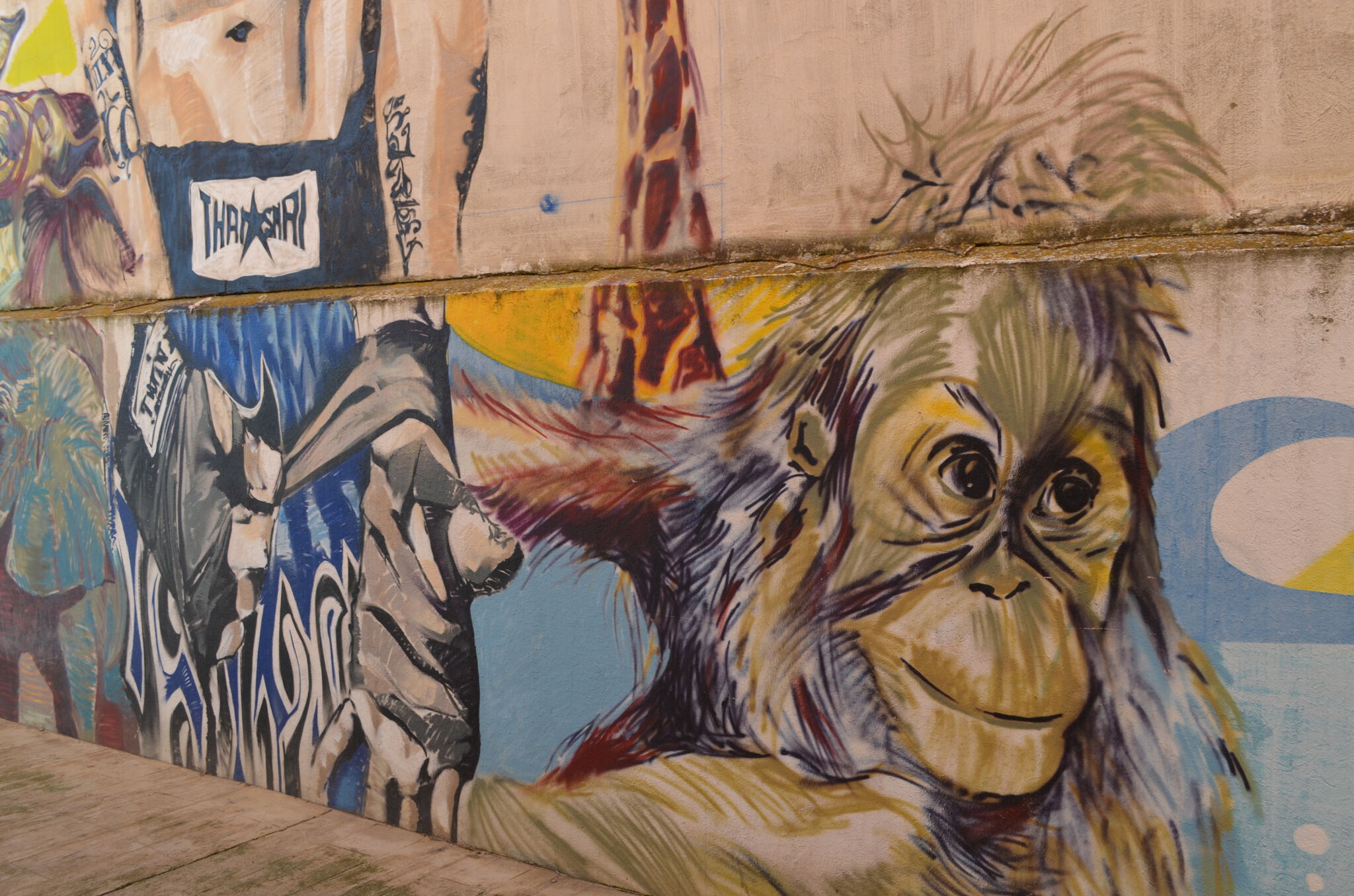 Naf&Yune;&mdash;Luchador&Animales;