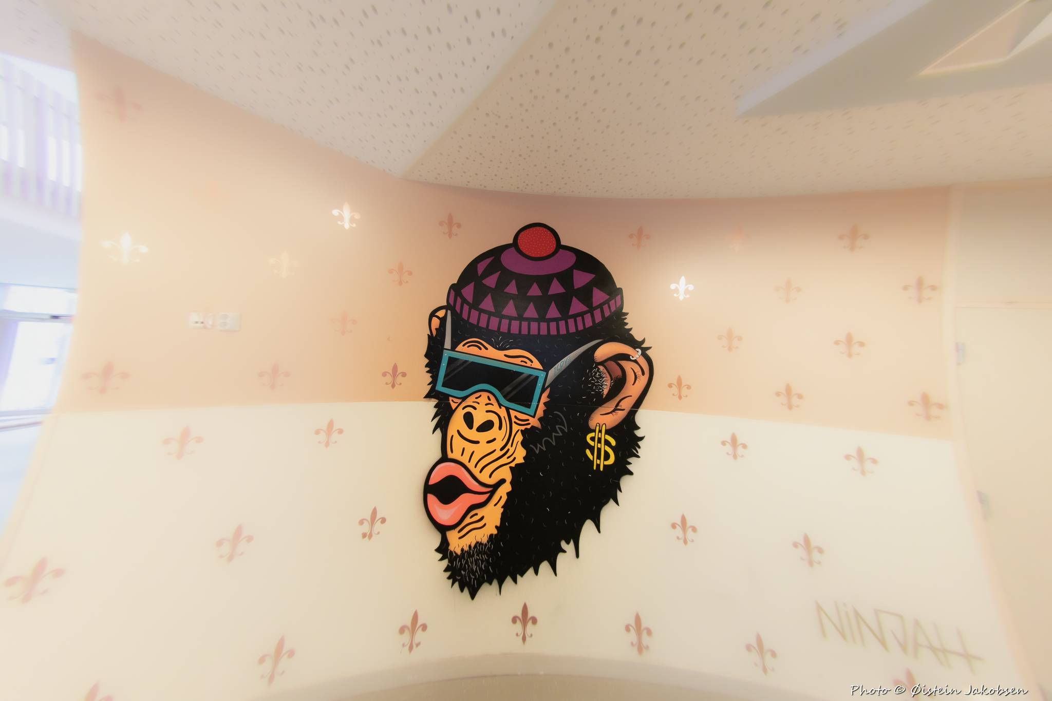 Ninjah&mdash;Monkey Do