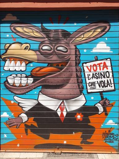 Vota l'asino che vola
