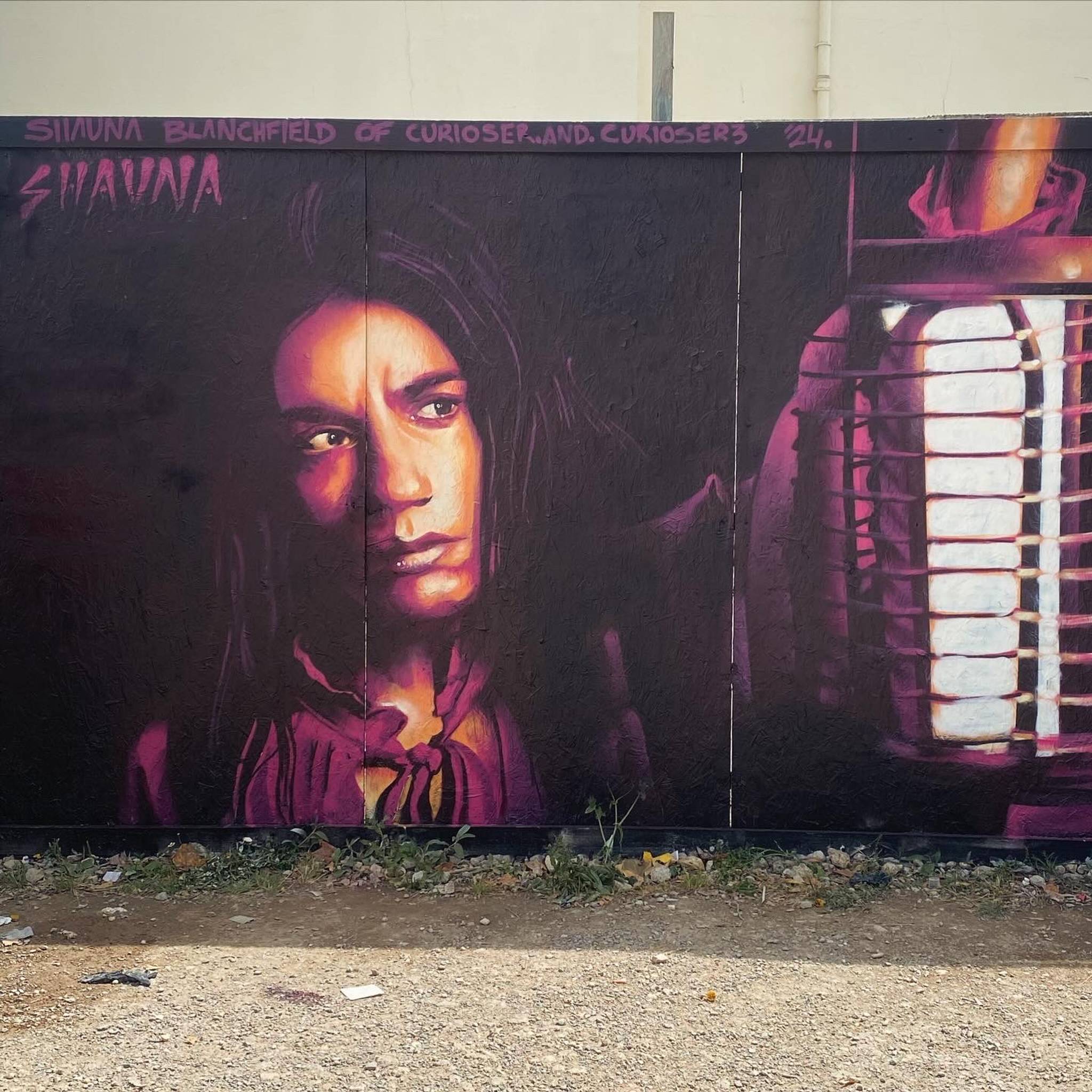 Shauna-blanchfield&mdash;Curiosity