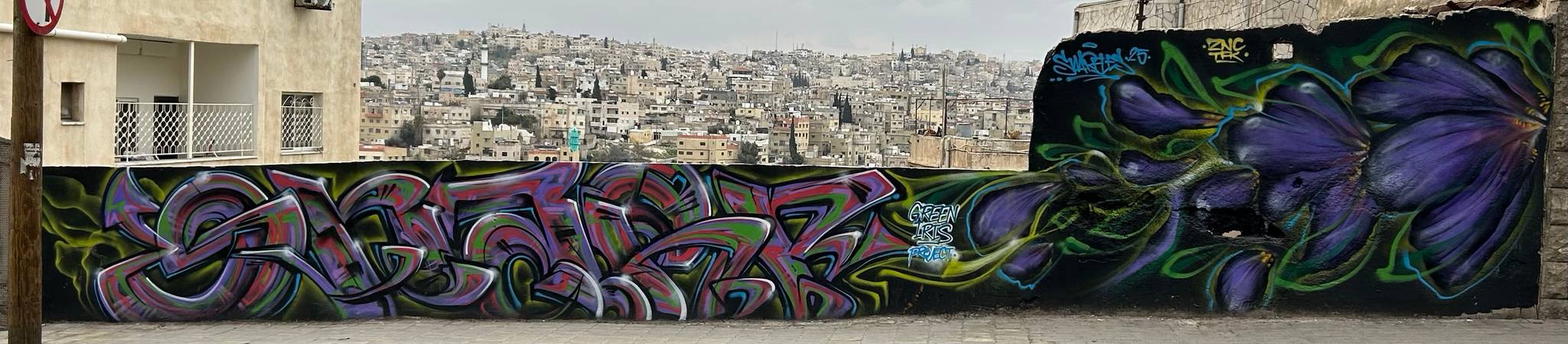 Snarf&mdash;Green Iris Project