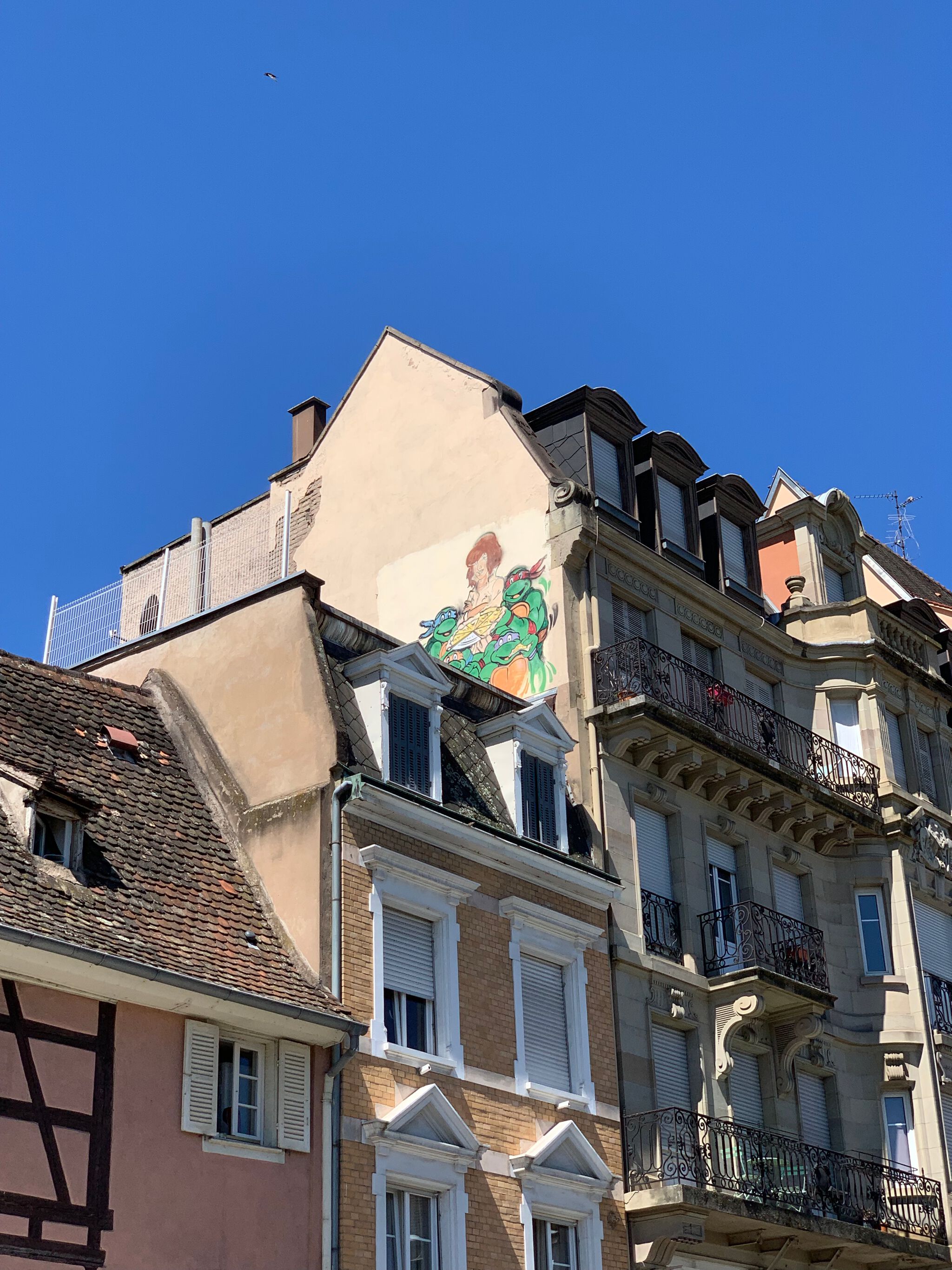 Unknown - Strassbourg&mdash;NinJa Turtles