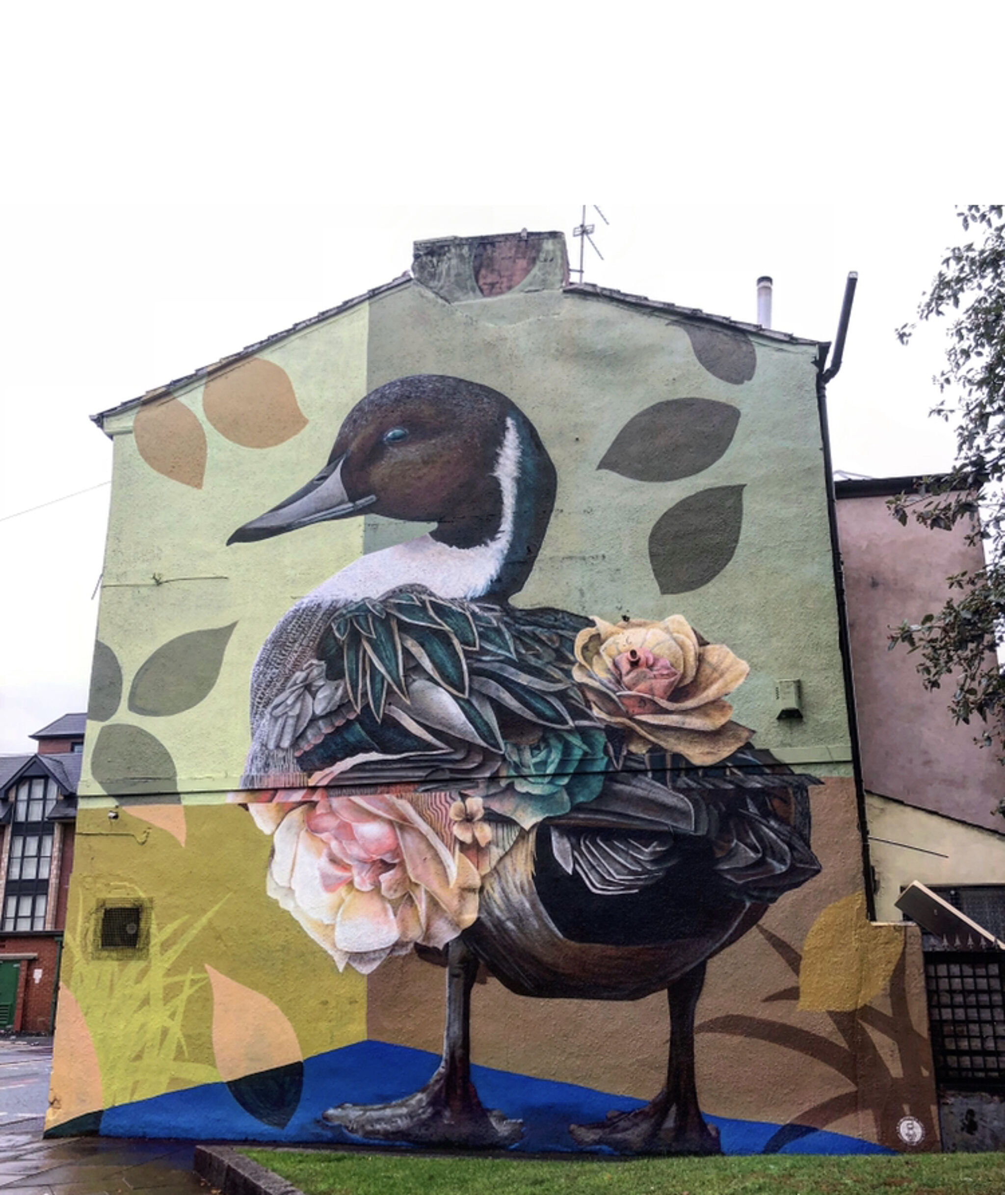 Curtis Hylton&mdash;Duck
