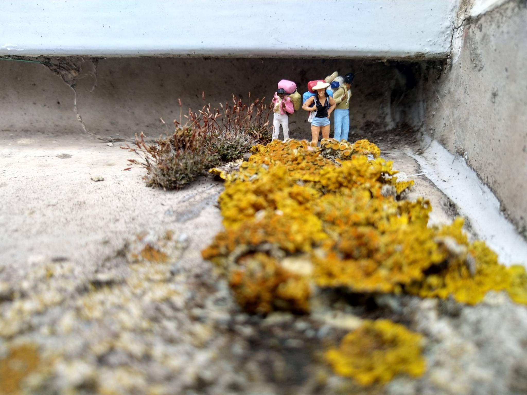 Miniature People Leeuwarden&mdash;The travellers pt 2 & 2 wanderers