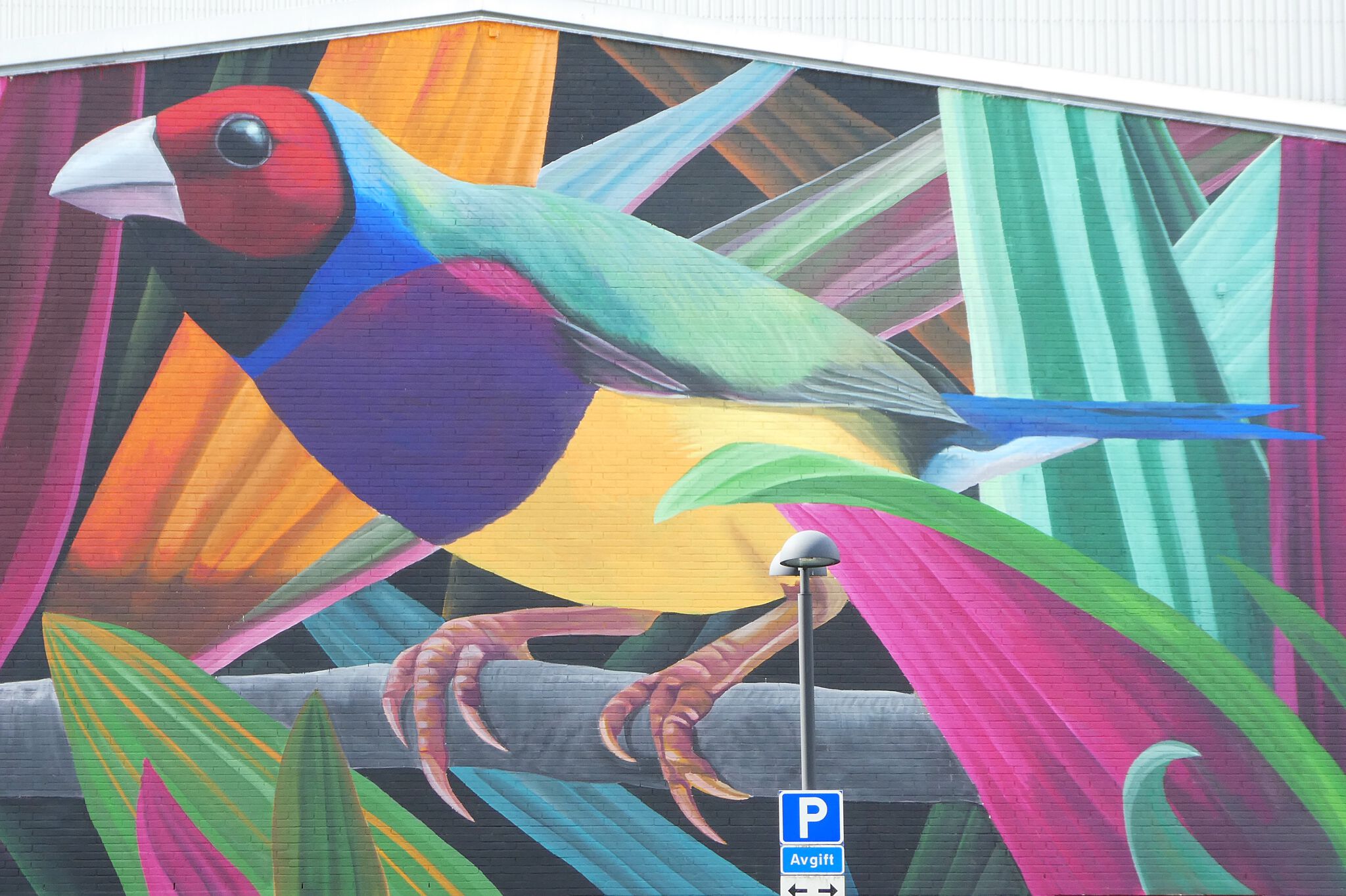 Thiago Mazza&mdash;How the Finch Got Her Colours