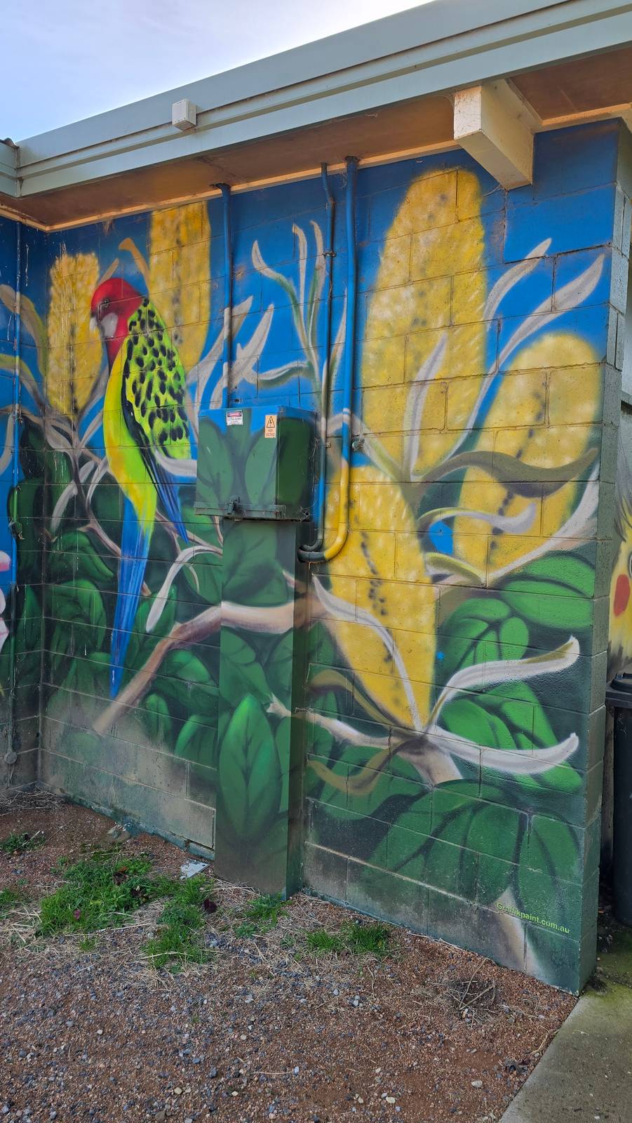 Graffik Paint&mdash;Birds of Canberra