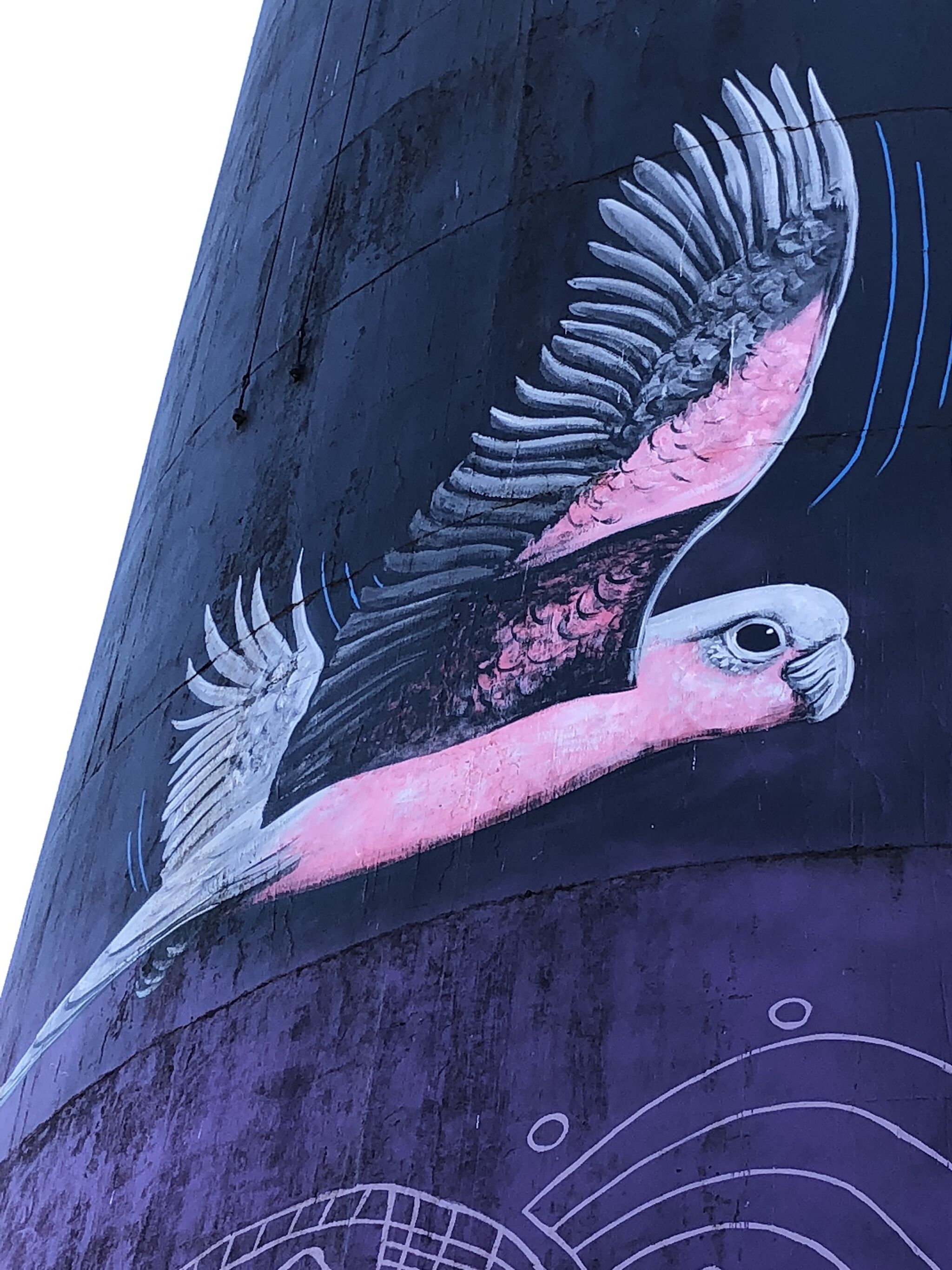 John Murray, Sooty Welsh&mdash;Coonamble Water Tower