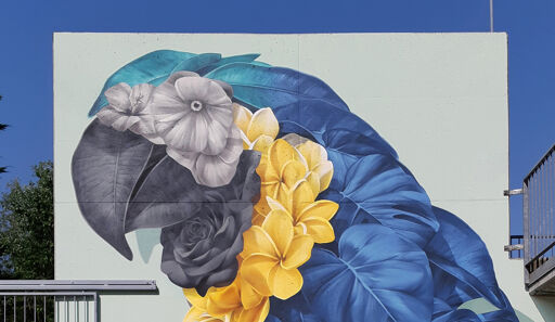 Blue Macaw