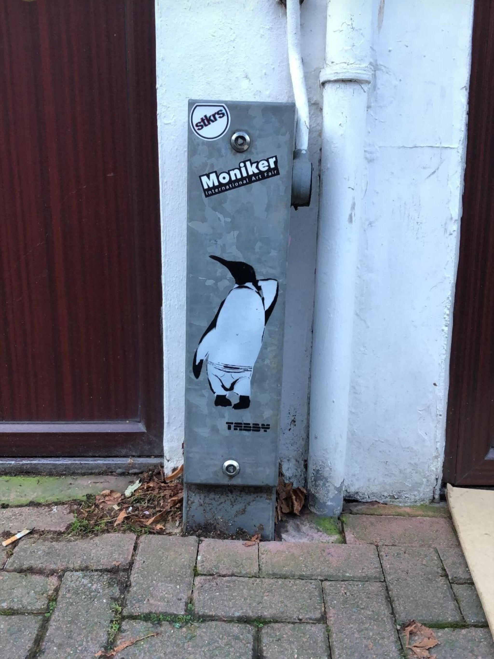 TABBY&mdash;Penguin Underwear Model: Brief Encounter