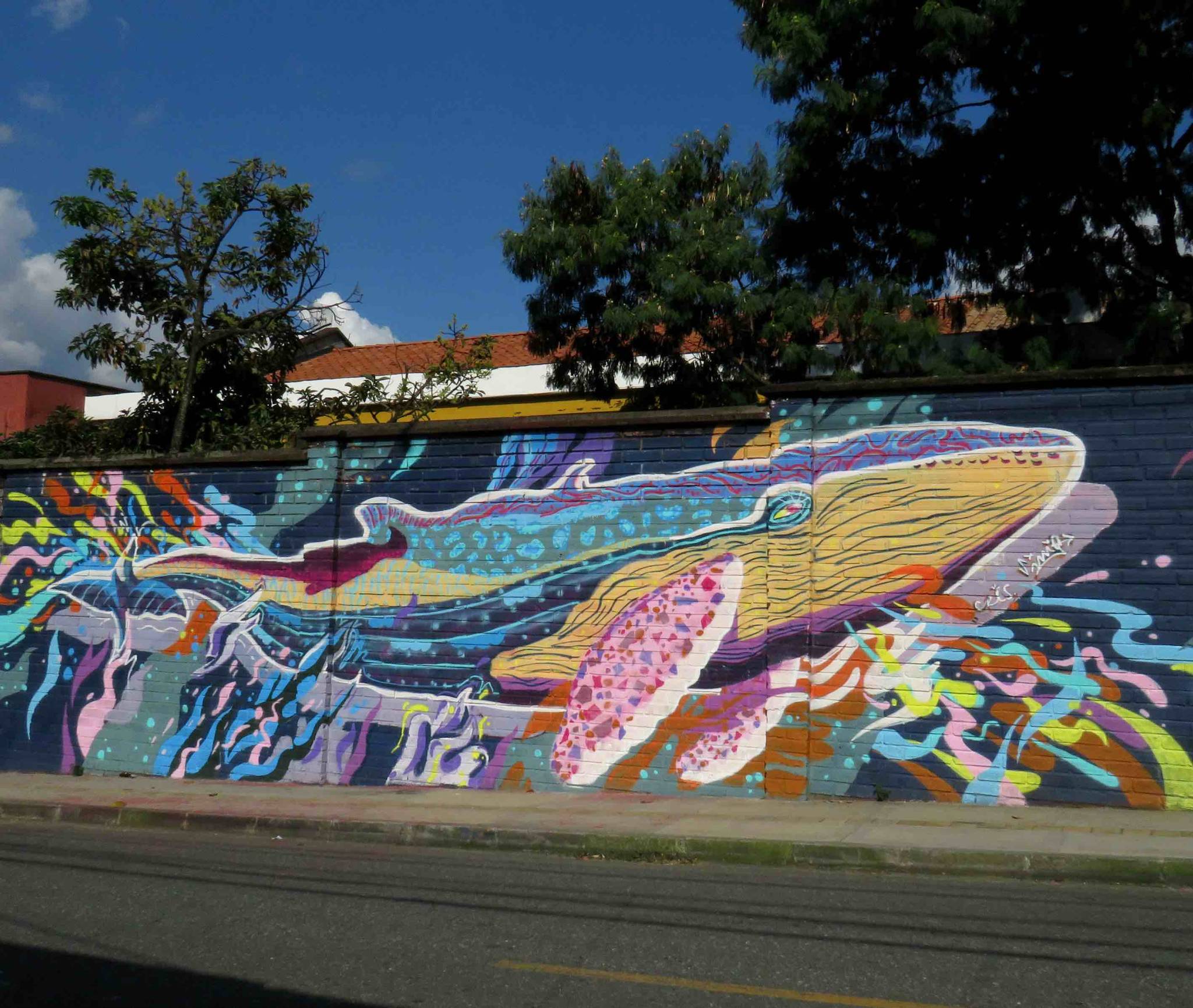 Unknown - Medellin&mdash;Untitled
