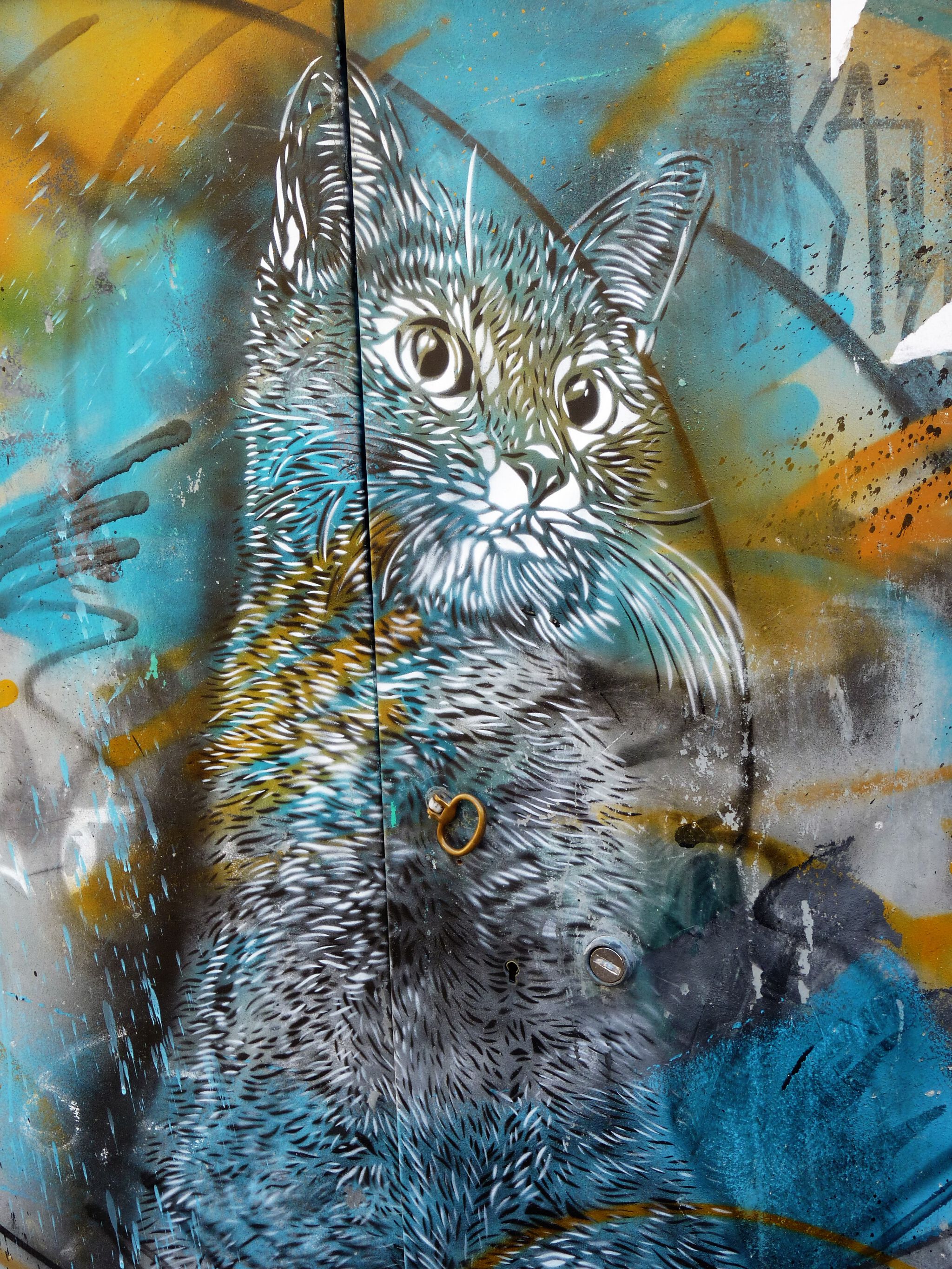 C215&mdash;C215 in Sète