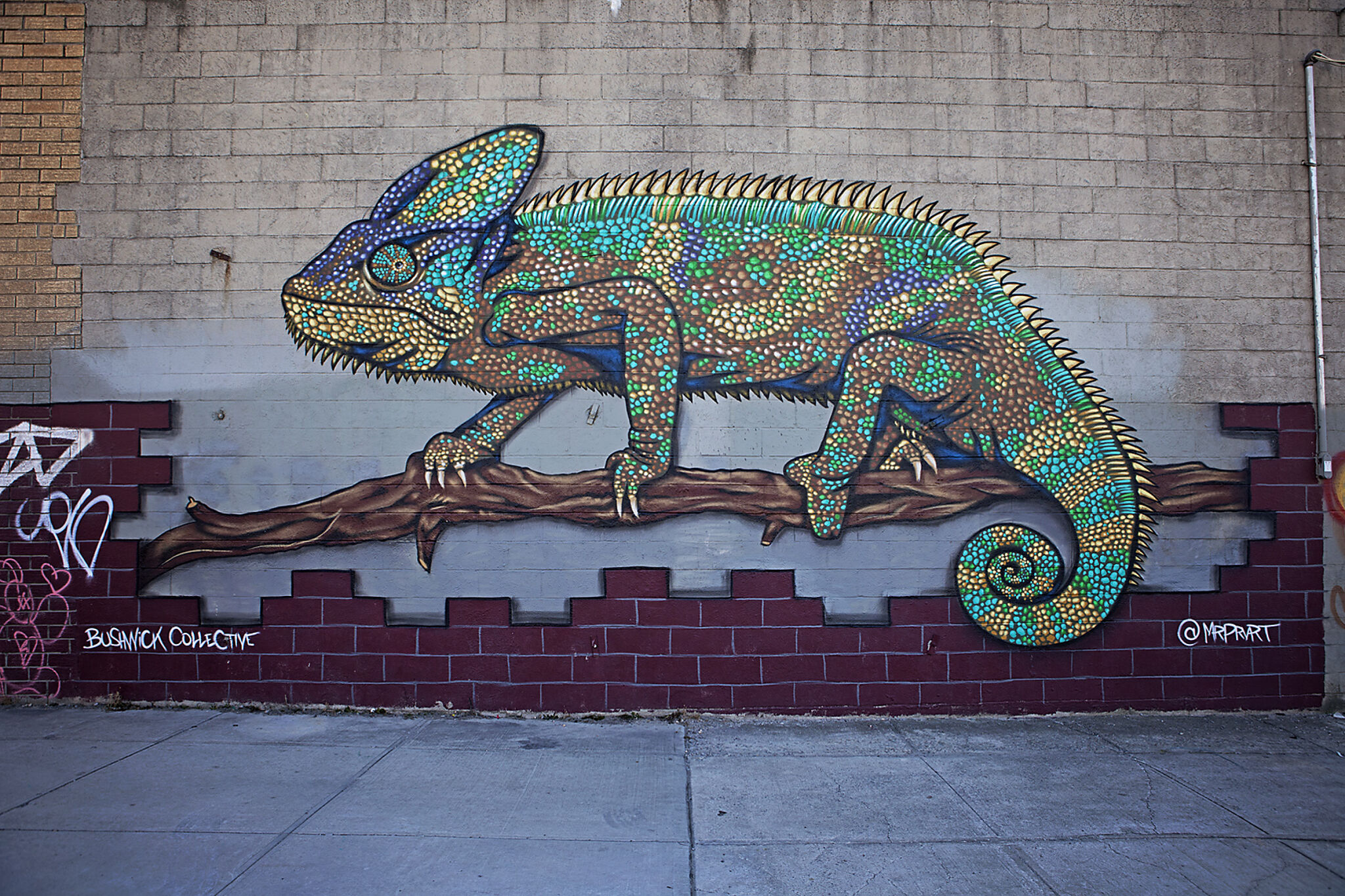 Justin Suarez (Aerosol Kingdom)&mdash;Chameleon