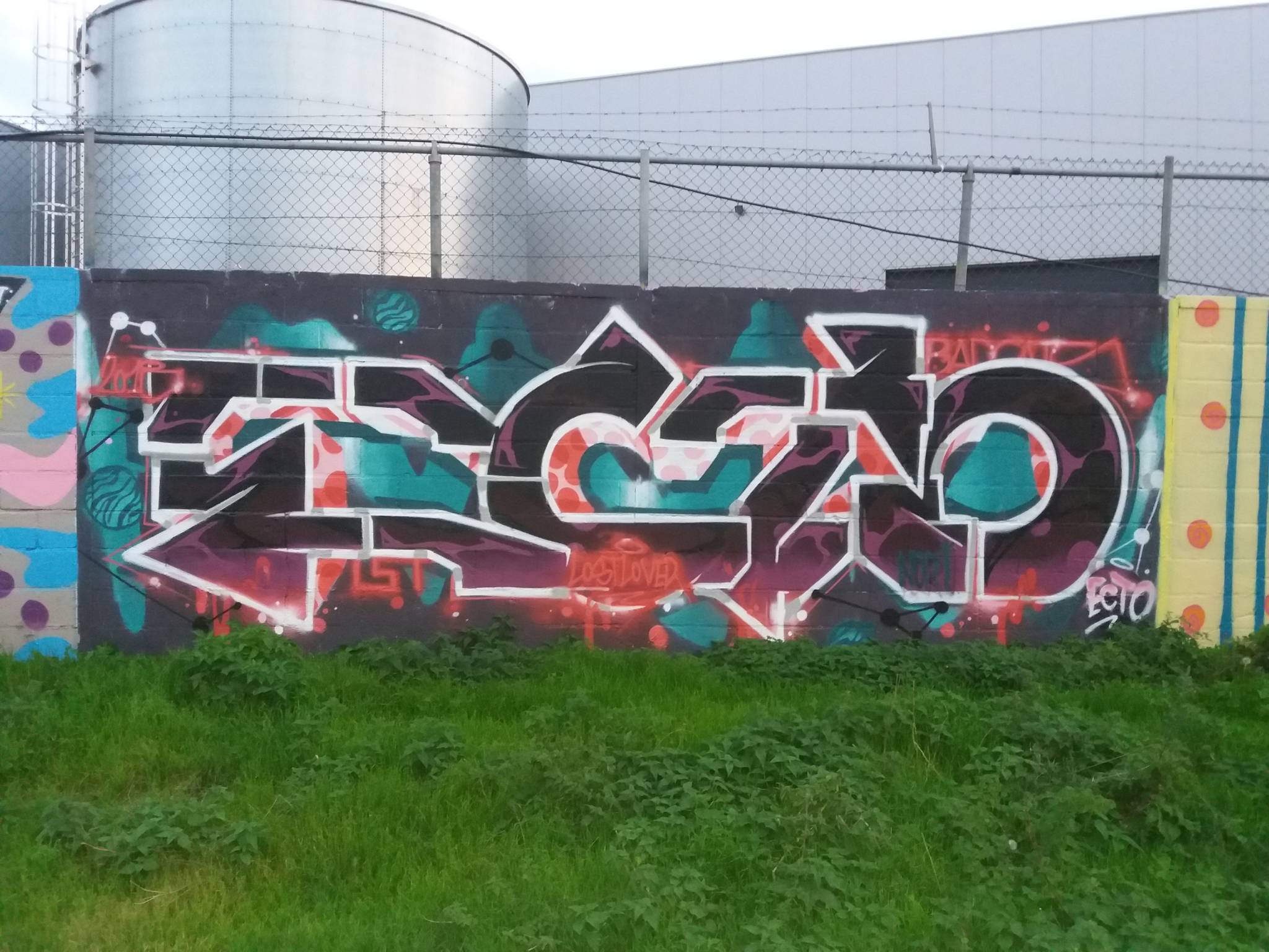Ecto, Noname&mdash;Wall of Coronmeuse