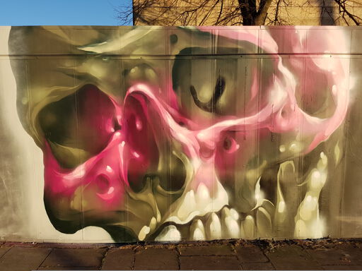 Pink Skull