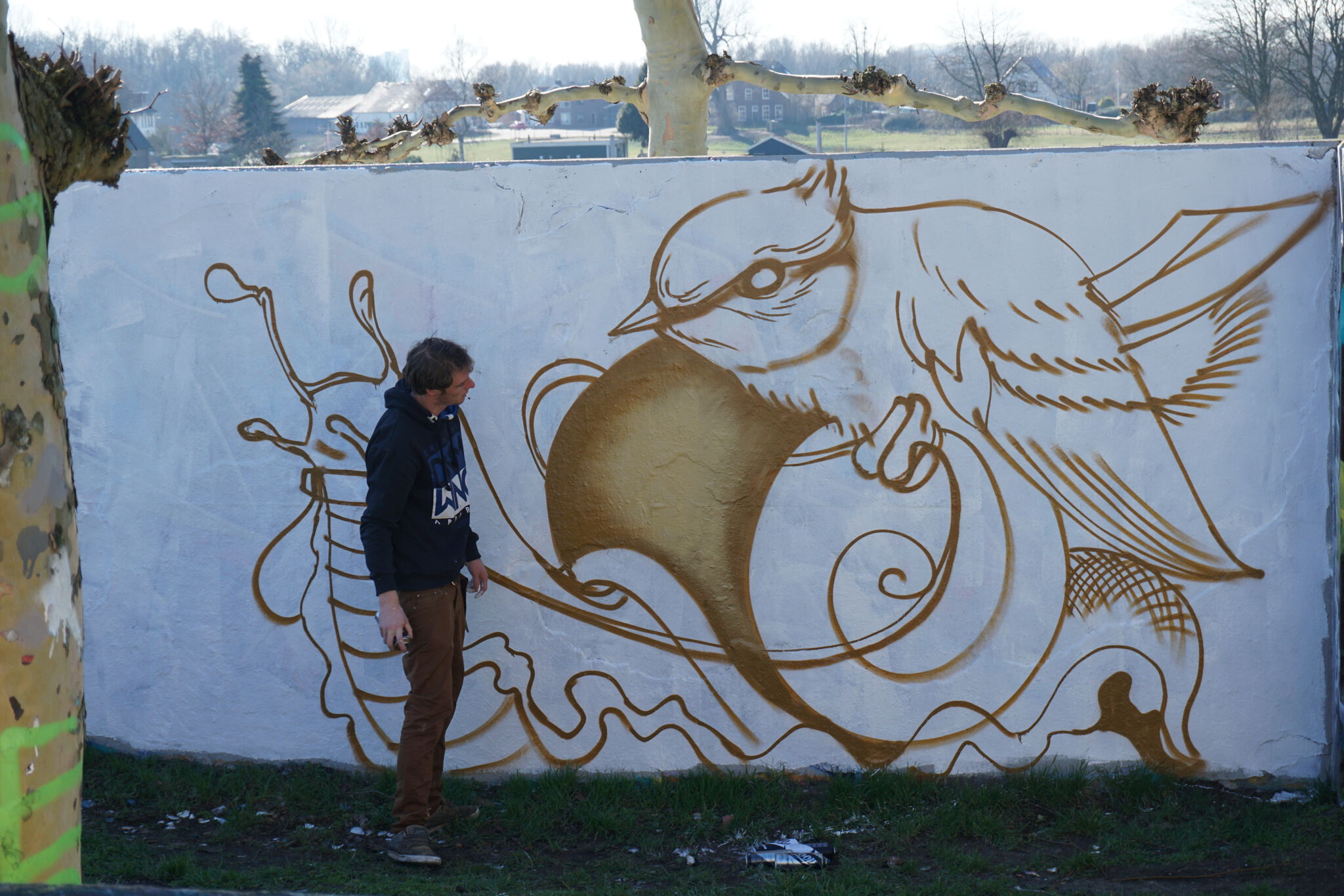 Unknown - Arnhem&mdash;Blue tits snale race