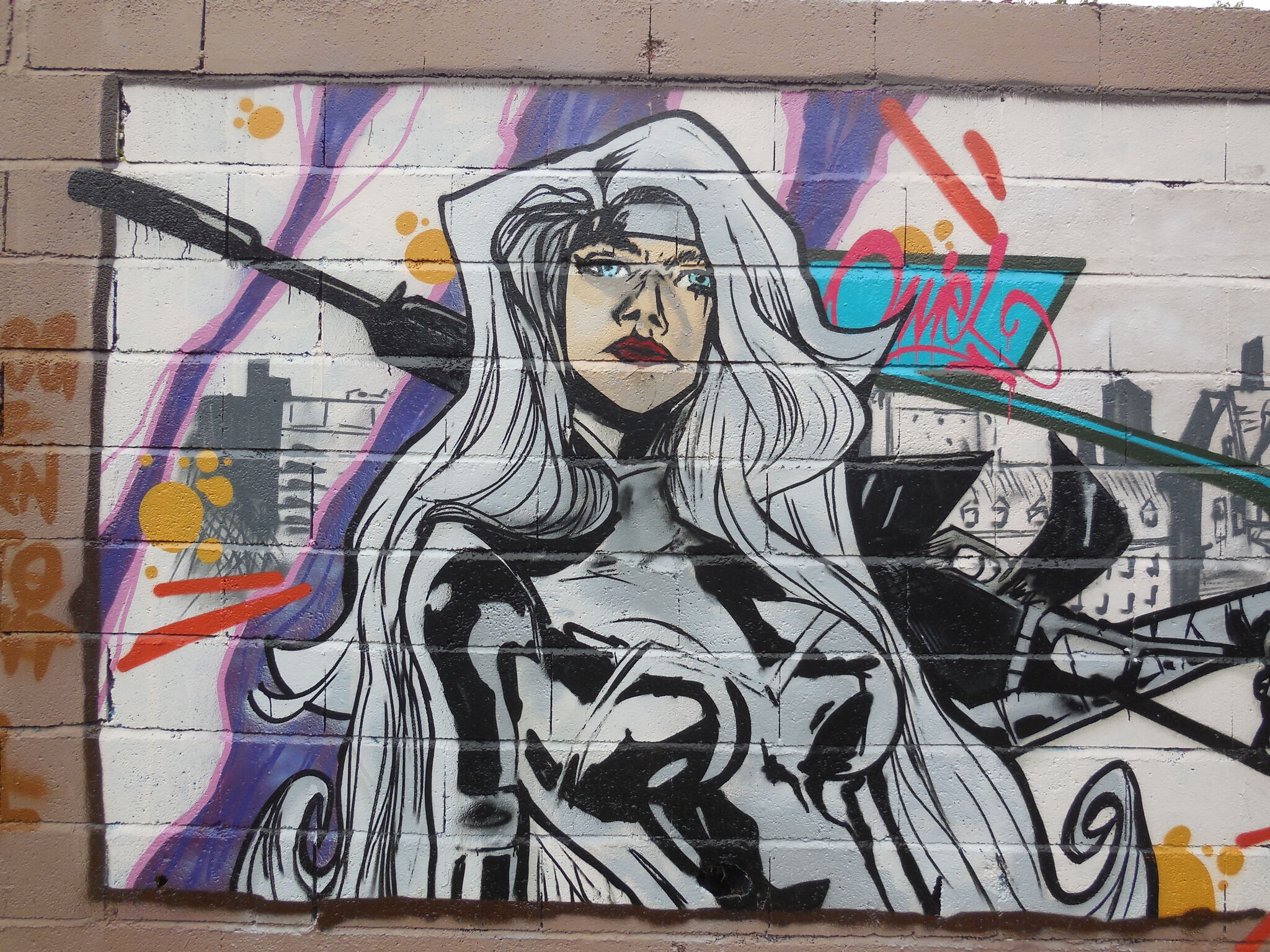Unknown - Toulouse&mdash;Silver Sable (n'est plus visible)