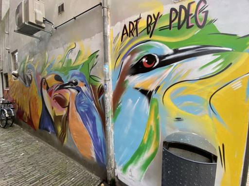 Birds