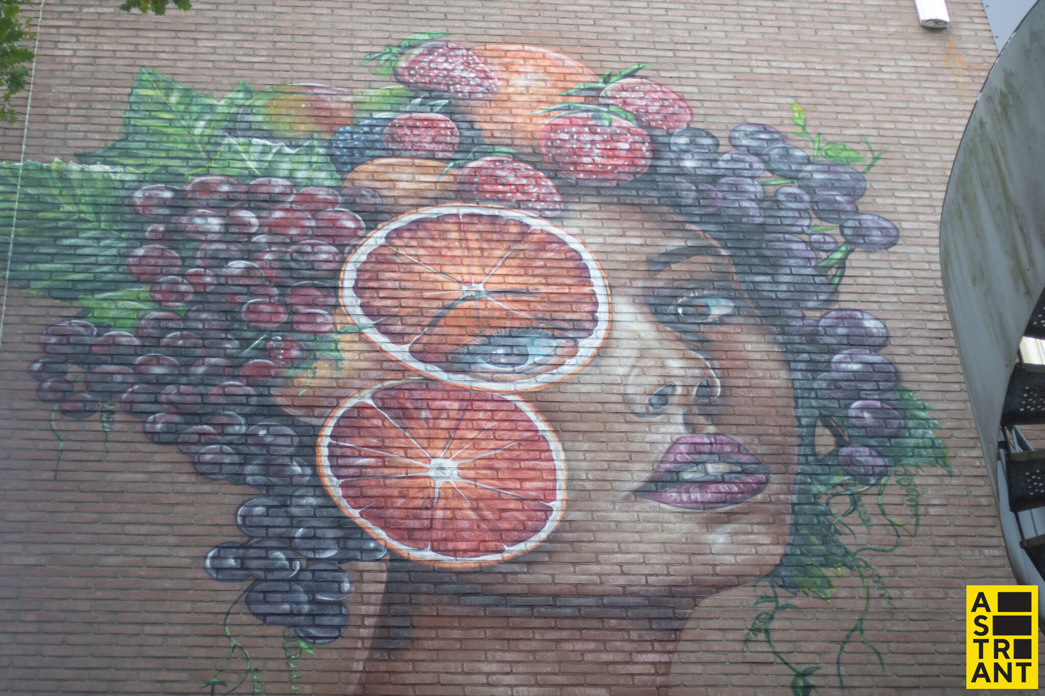 Da2, El Rojo&mdash;World Food Centre