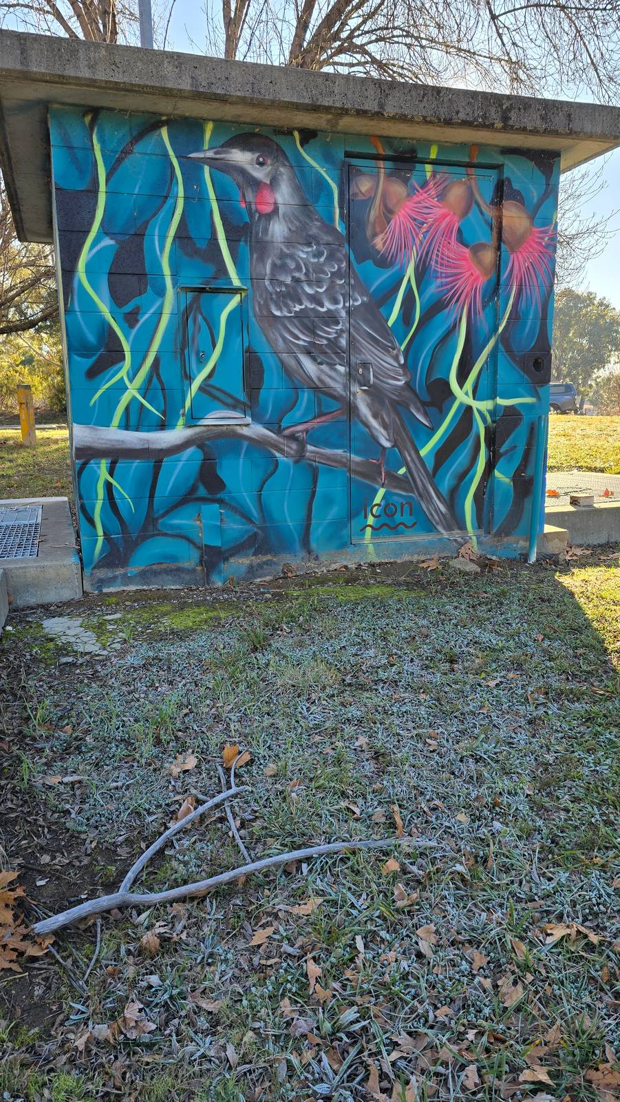 Graffik Paint&mdash;Red Wattlebird