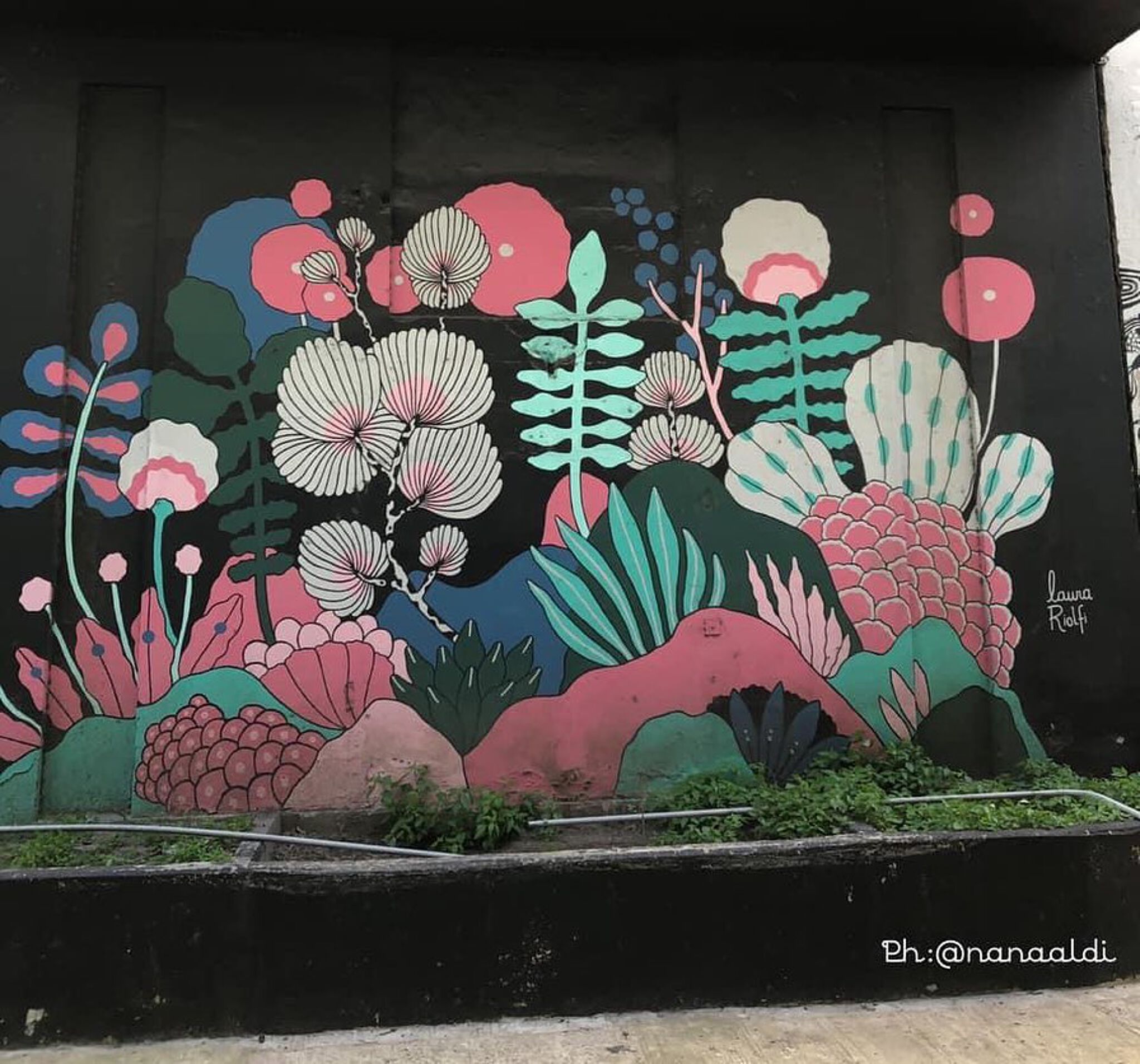Laura Riolfi&mdash;Flowers