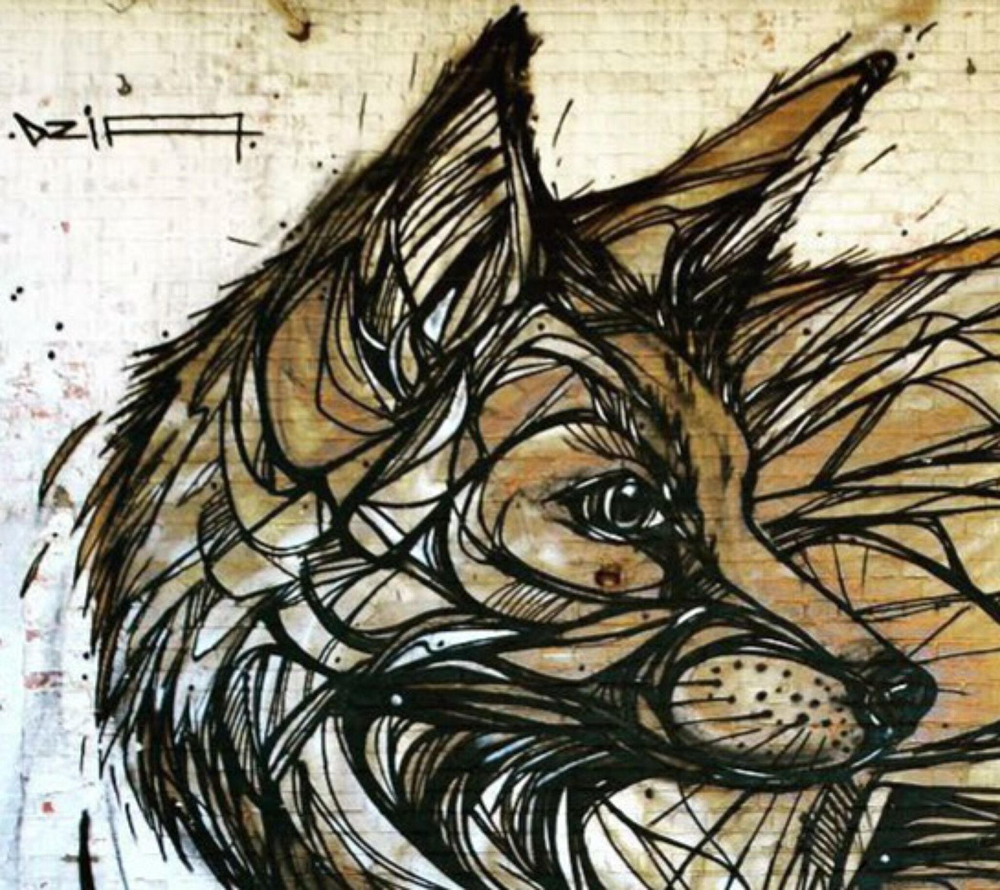 Dzia&mdash;Gold Fox