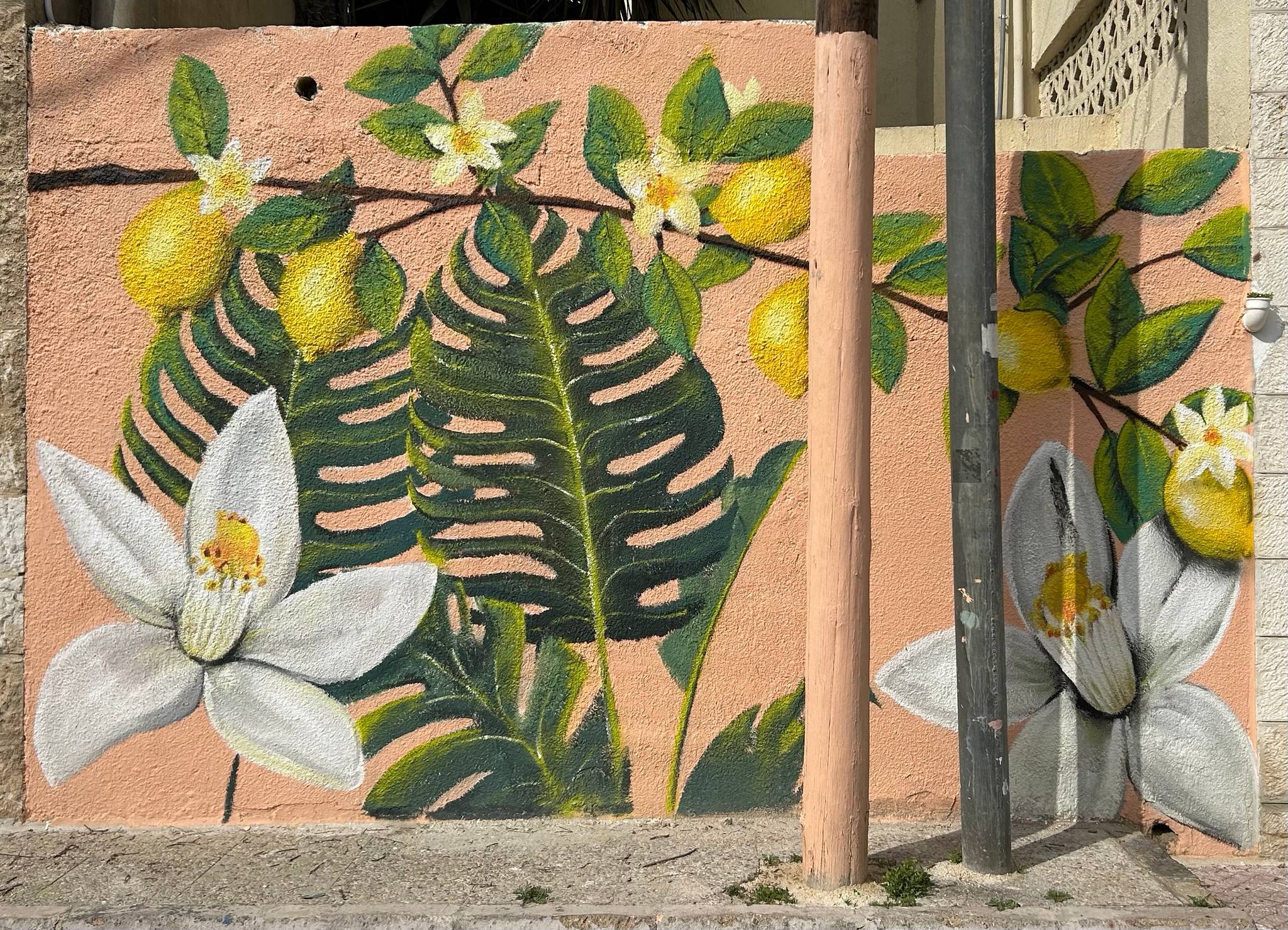 Unknown - Amman&mdash;undefined