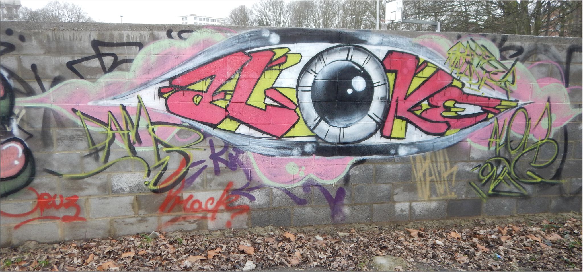 Noname, jnc, Ecto, Acide4000, nilon, nico hayer, Soke - la cabane, etc...., PsoMan&mdash;Skate Parc de Cointe