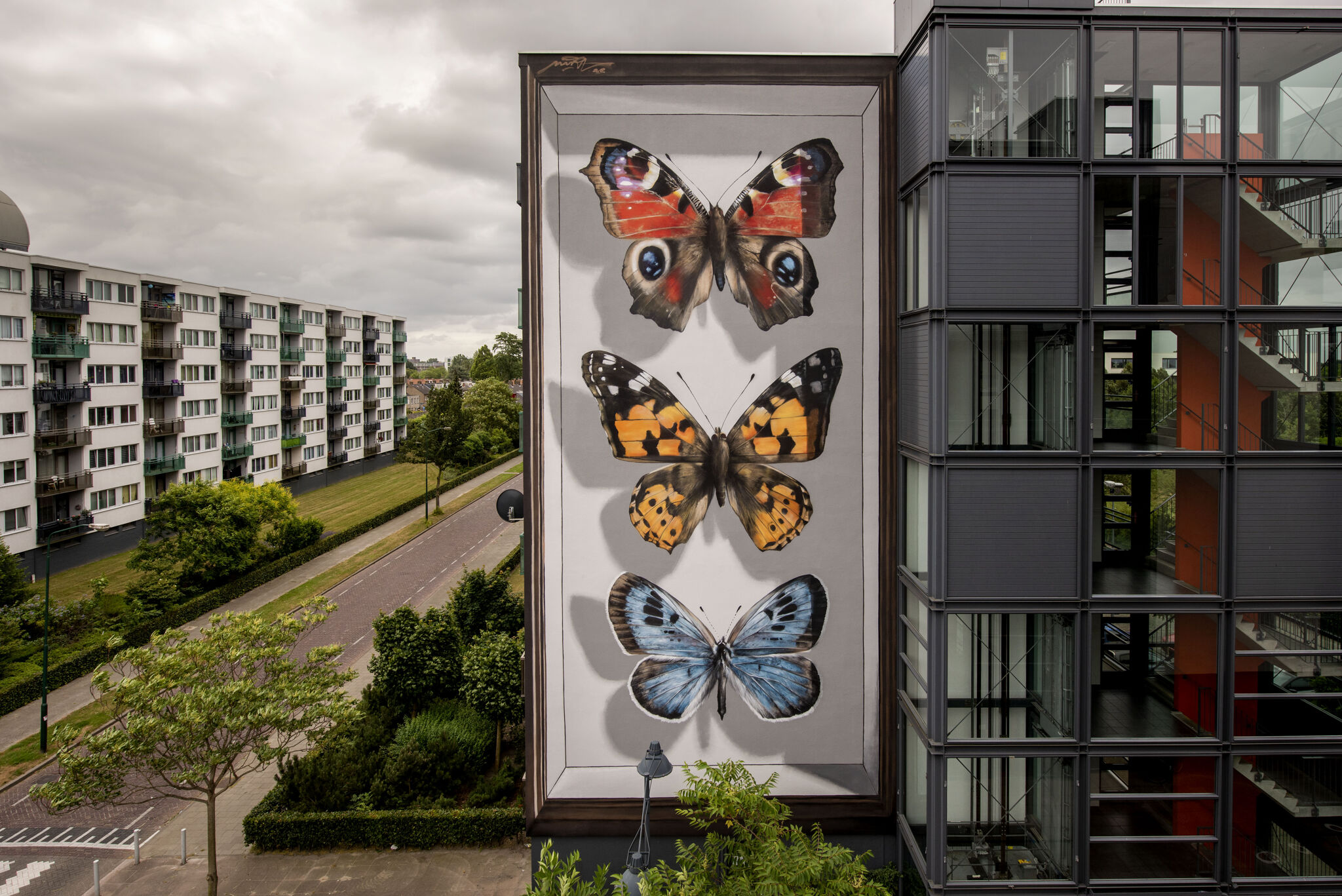 Mantra&mdash;The most beautiful butterflies of the city