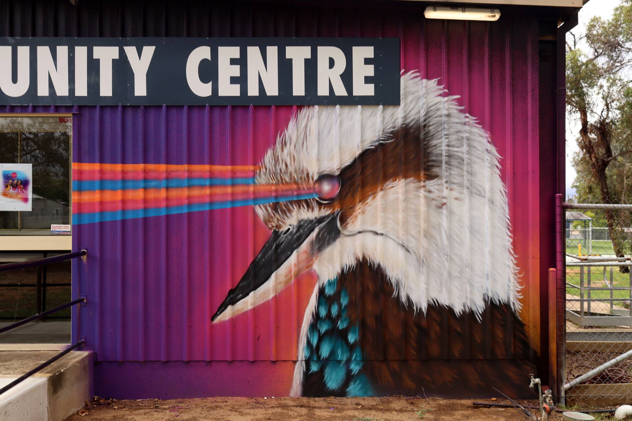 Nitsua&mdash;Kookaburra Laser Beaming