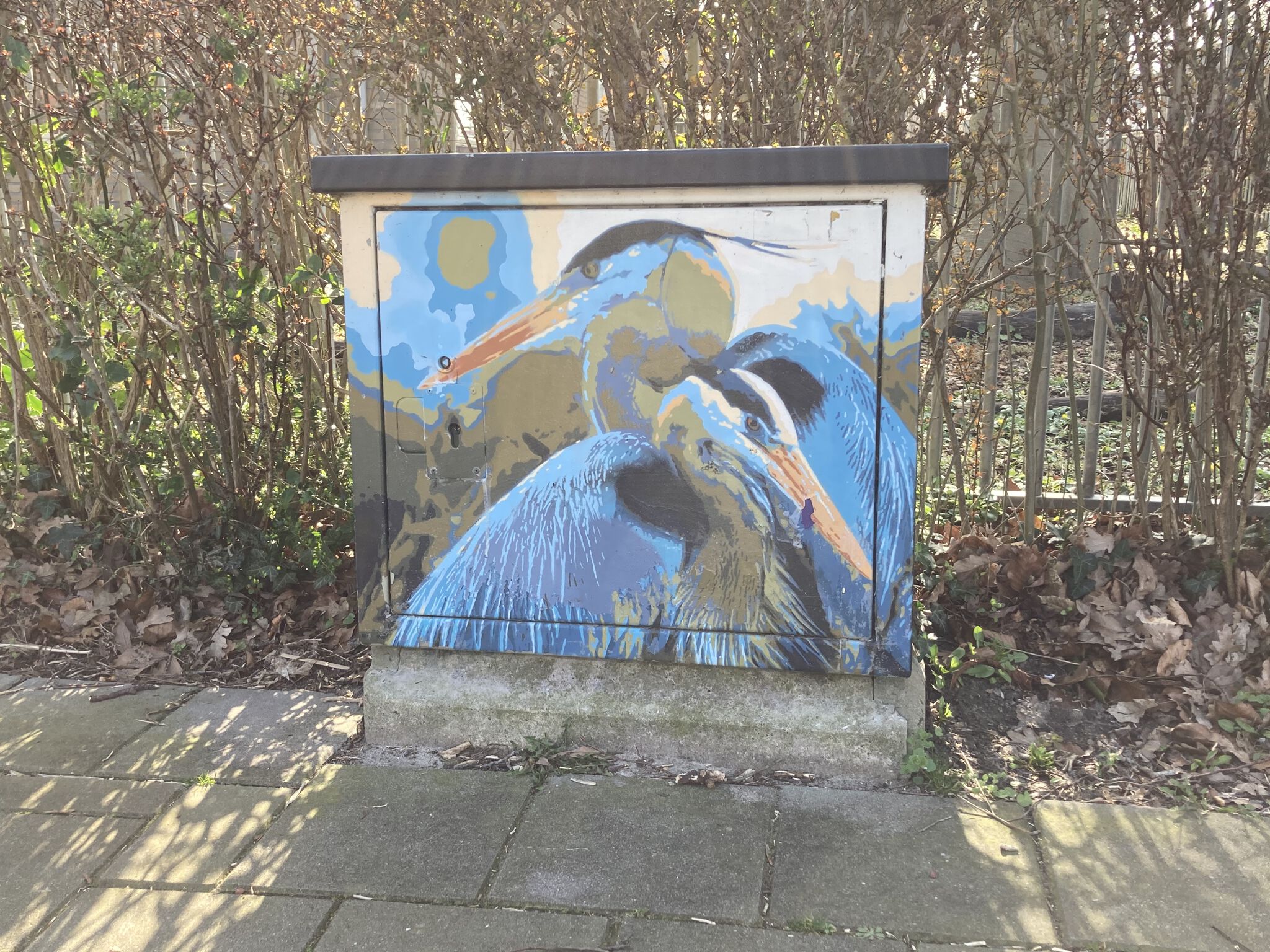 Roy Schreuder&mdash;Reiger