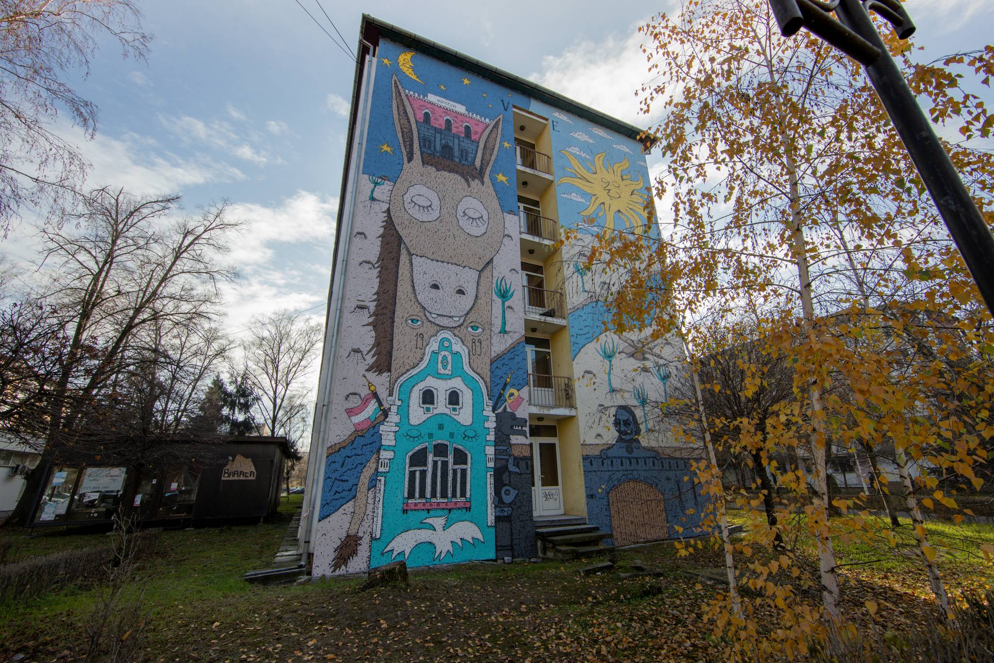 KSELE&mdash;Benjamin in Timișoara