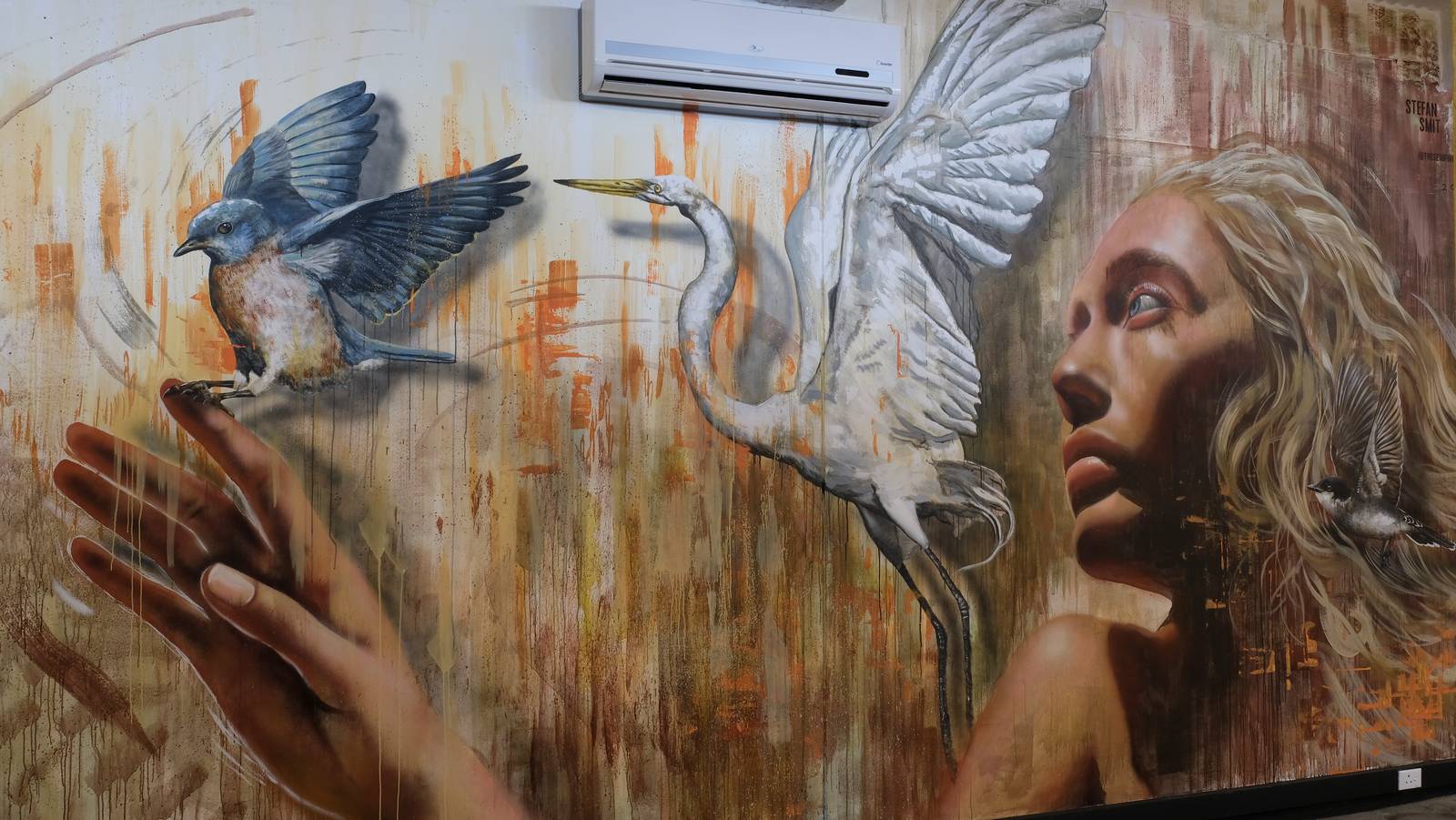 Stefan-smit&mdash;Within Reach