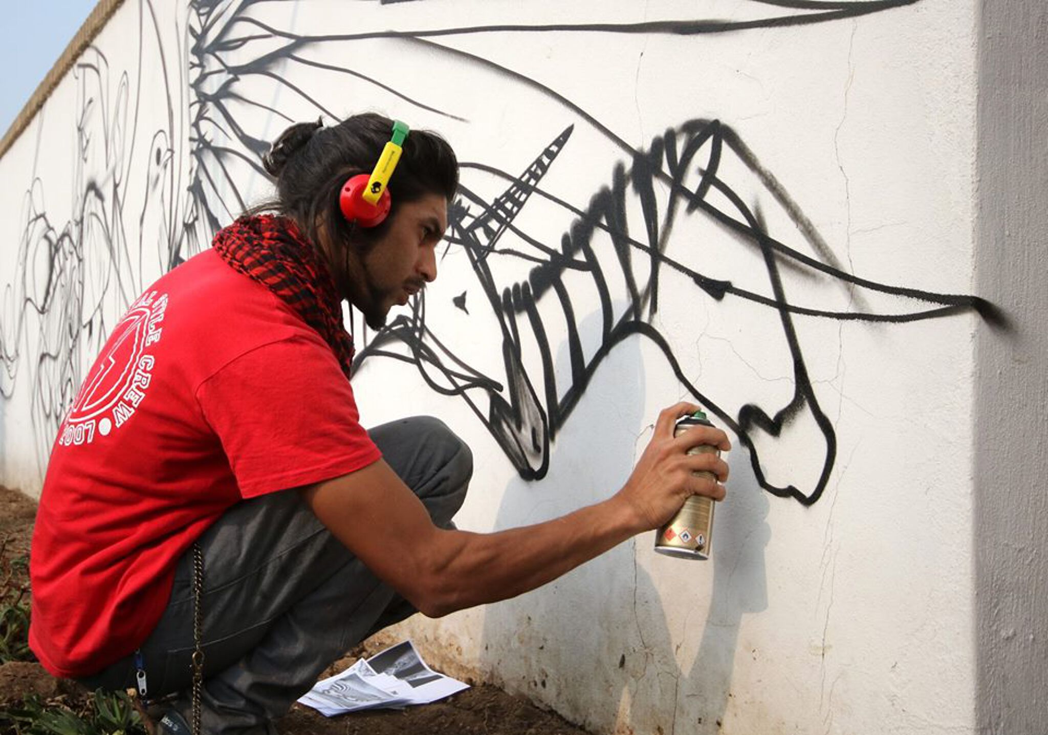 Prefix66&mdash;Zebras - Westdene Graffiti Project