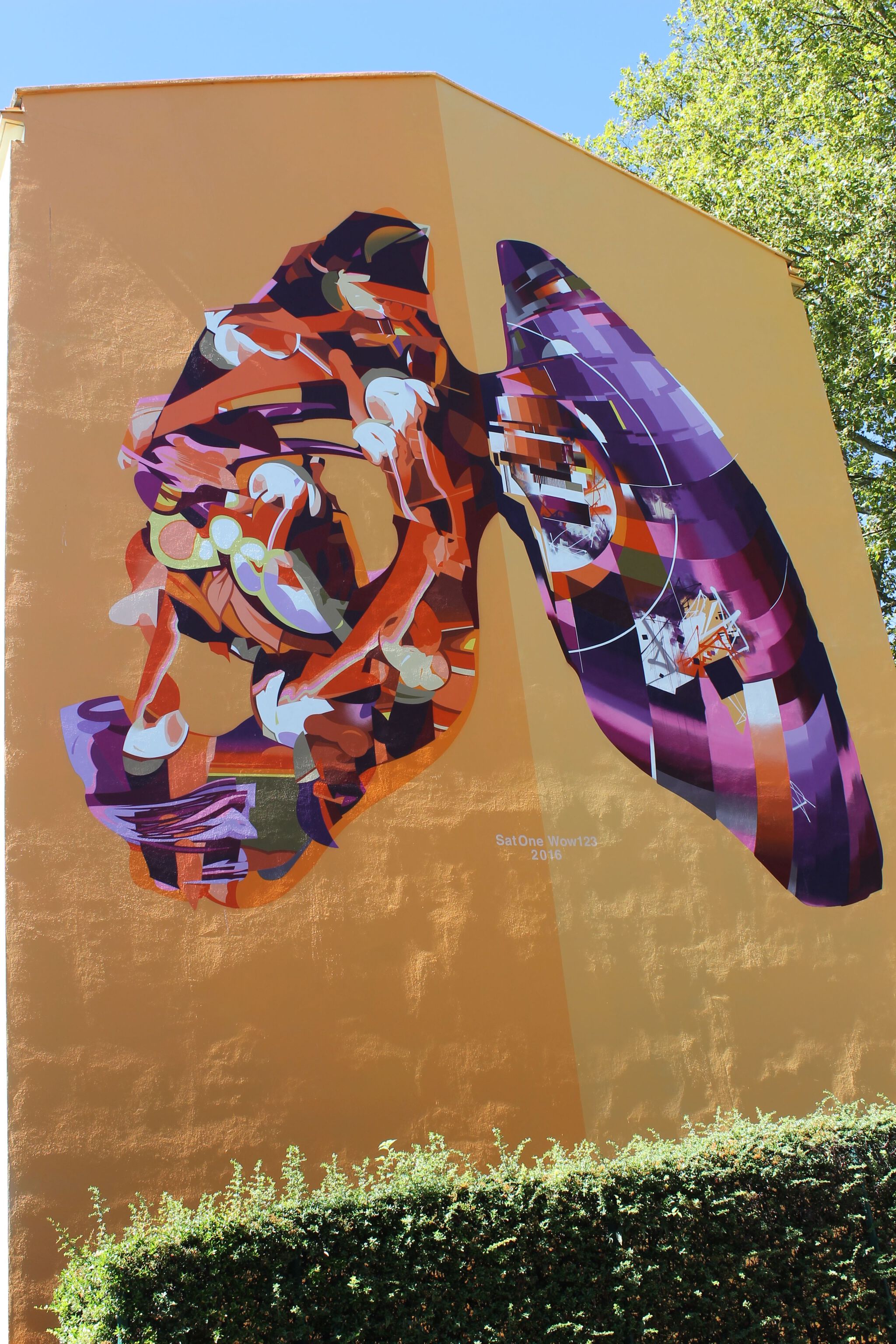 Wow123, SatOne&mdash;Poumons