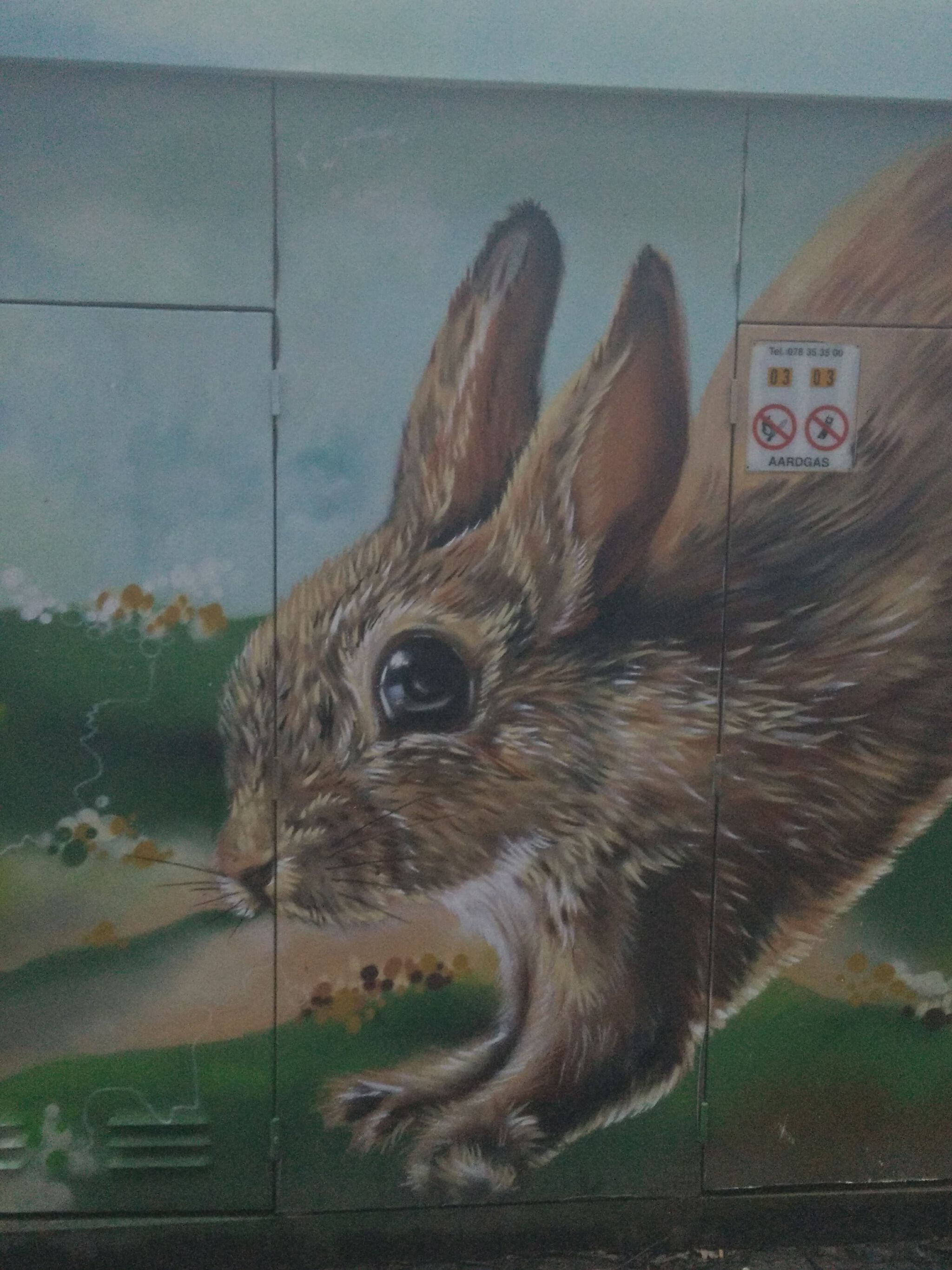 SMOK&mdash;What's up, Doc?