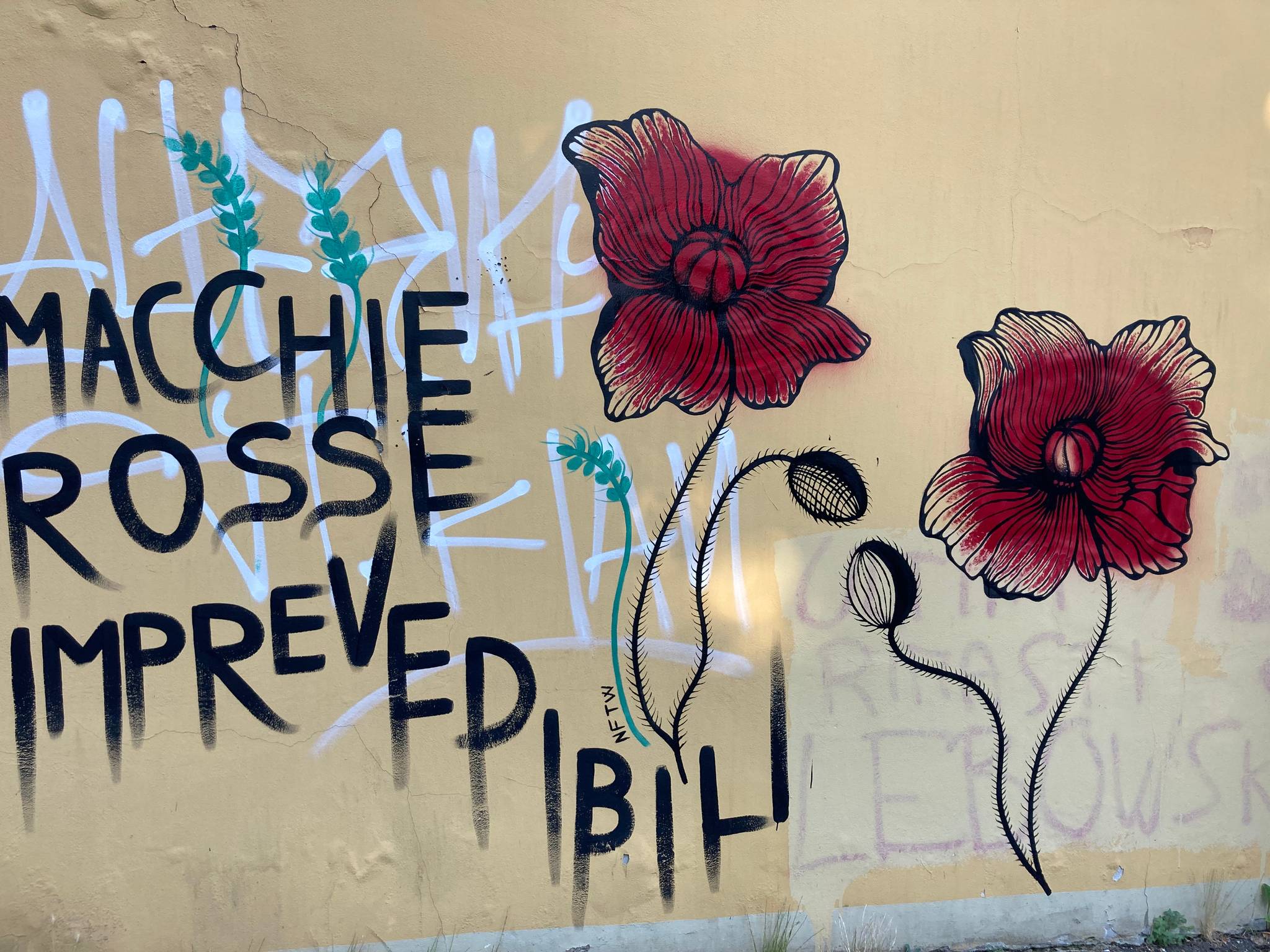 Unknown - Florence&mdash;Macchie rosse imprevedibili