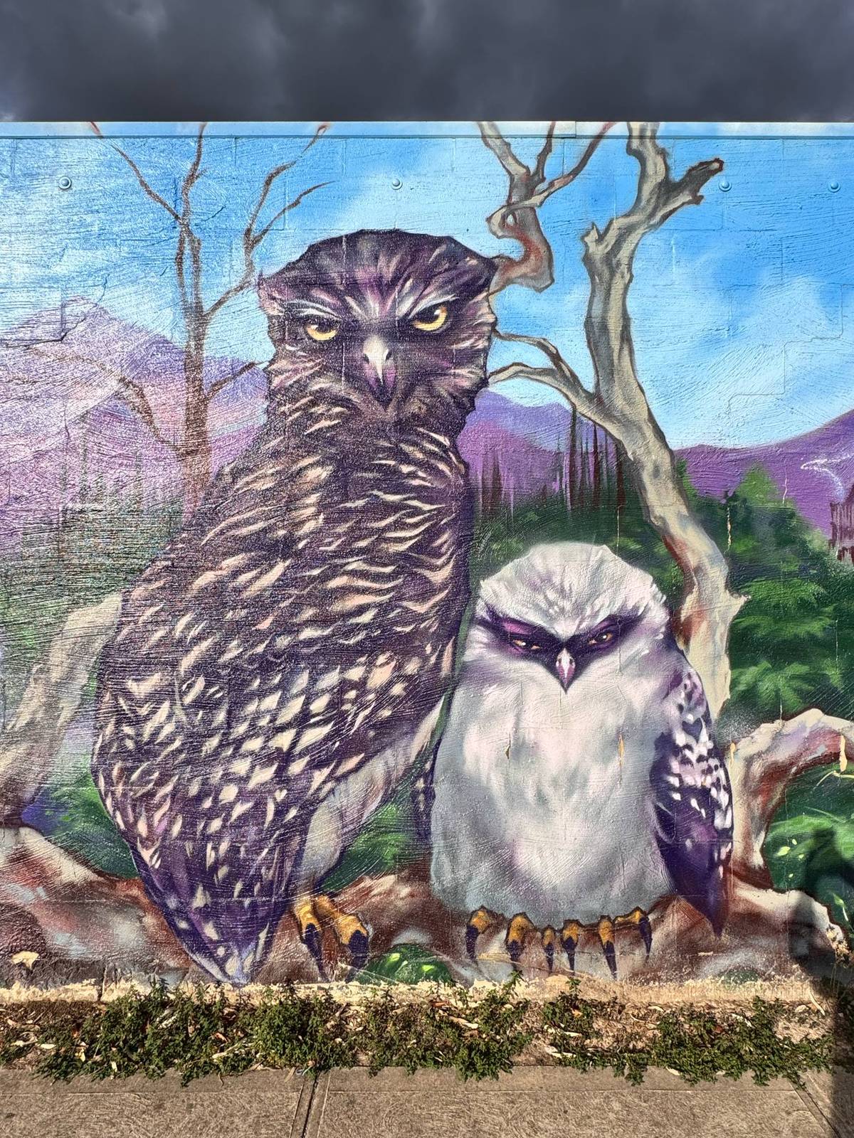 Unknown - Mansfield&mdash;Mansfield Youth Centre Mural