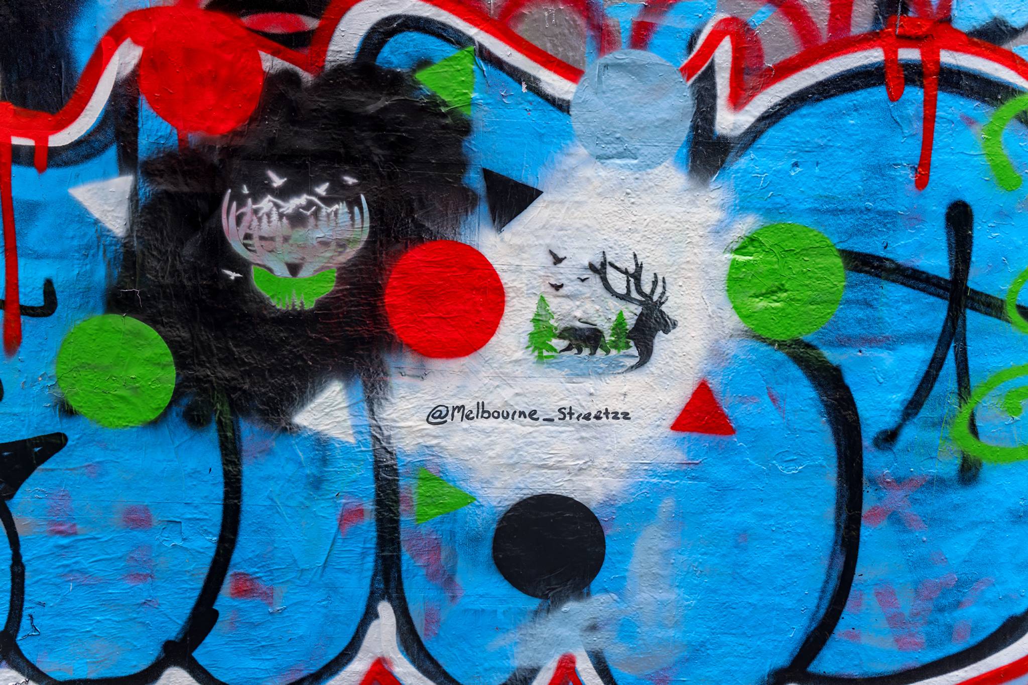 melbourne_streetzz&mdash;Nature Within the Chaos