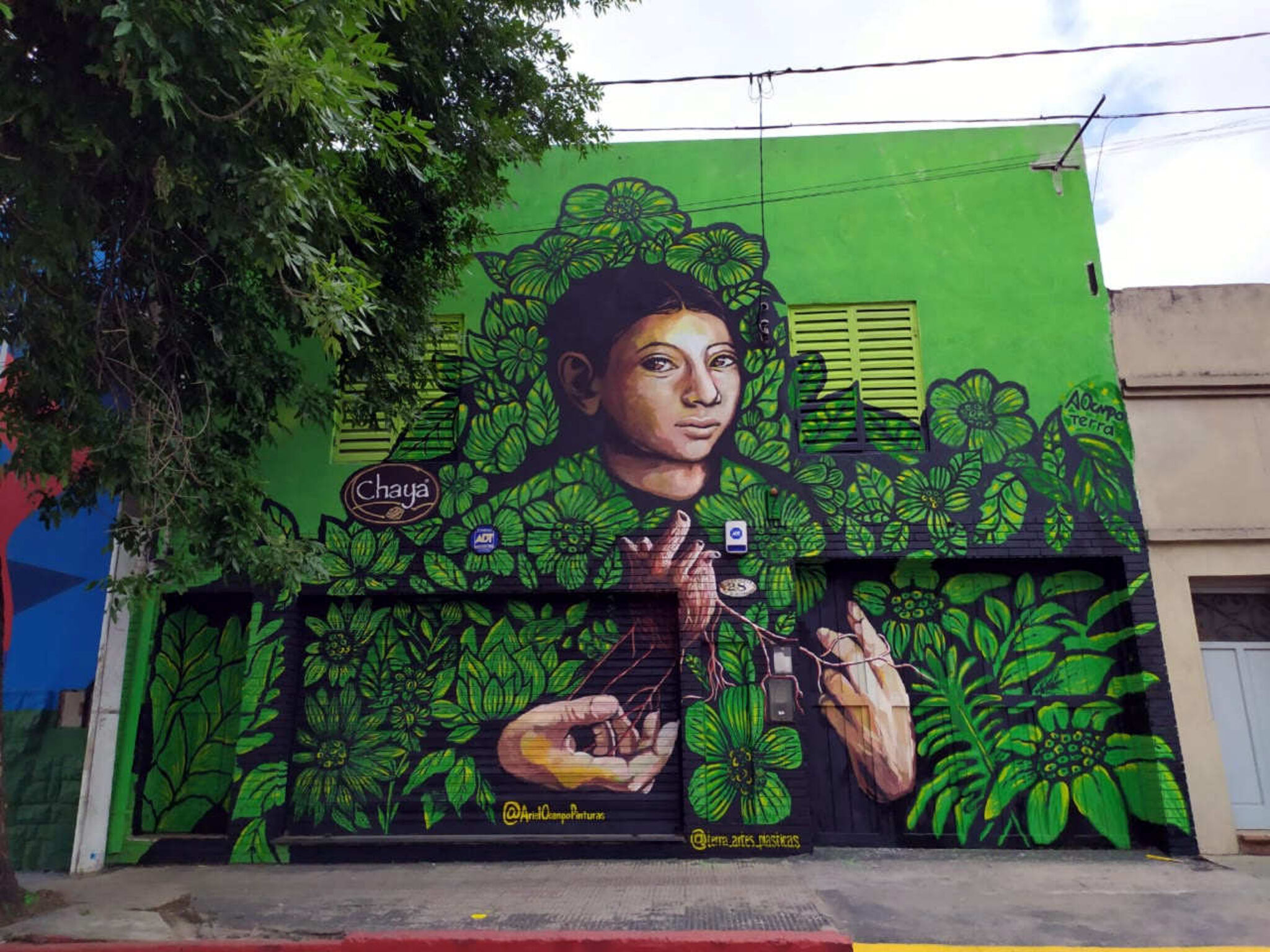 Ariel Ocampo&mdash;Beating Green
