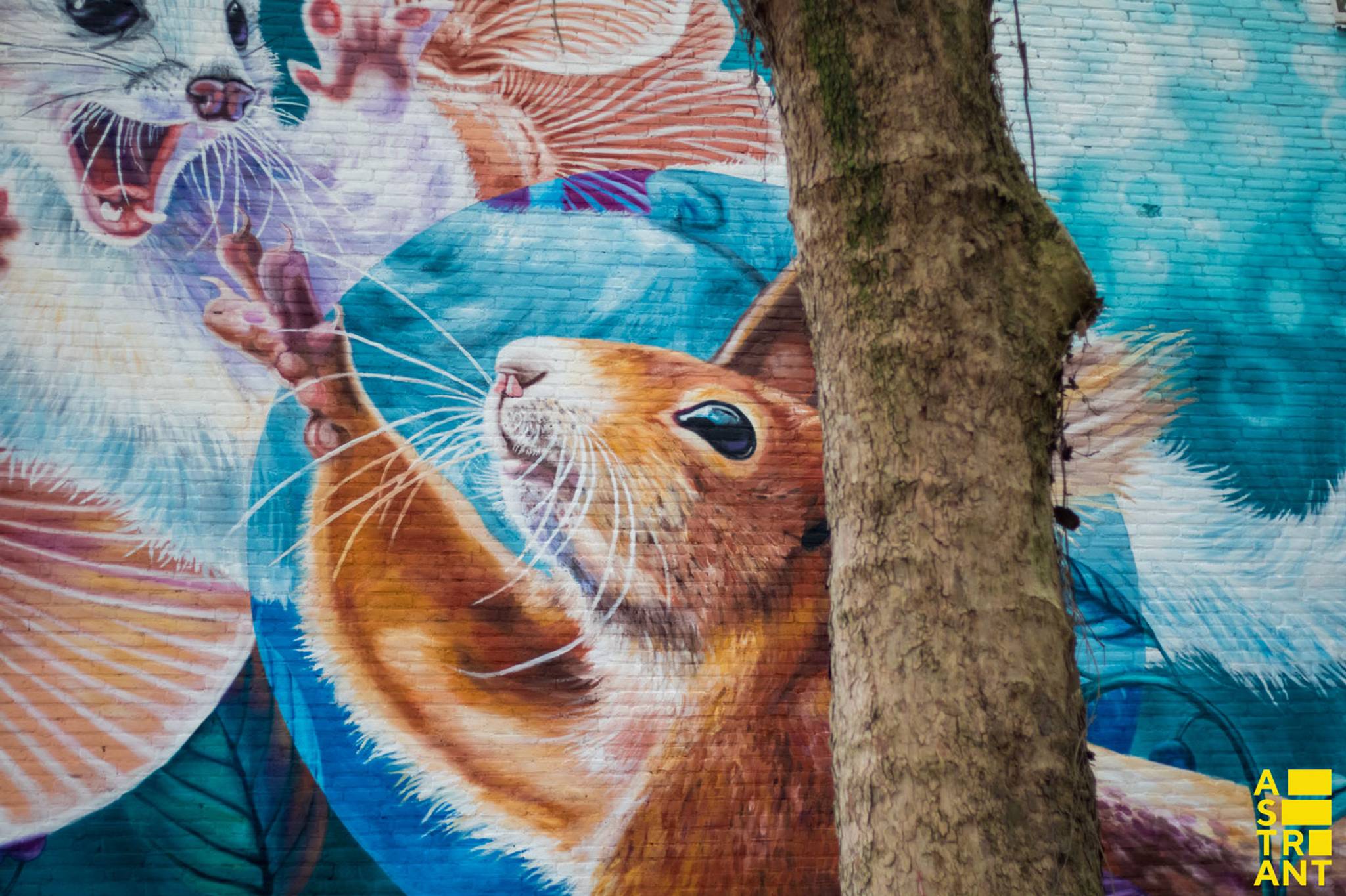Nina Valkhoff&mdash;Ermine in wintercoat and a squirrel