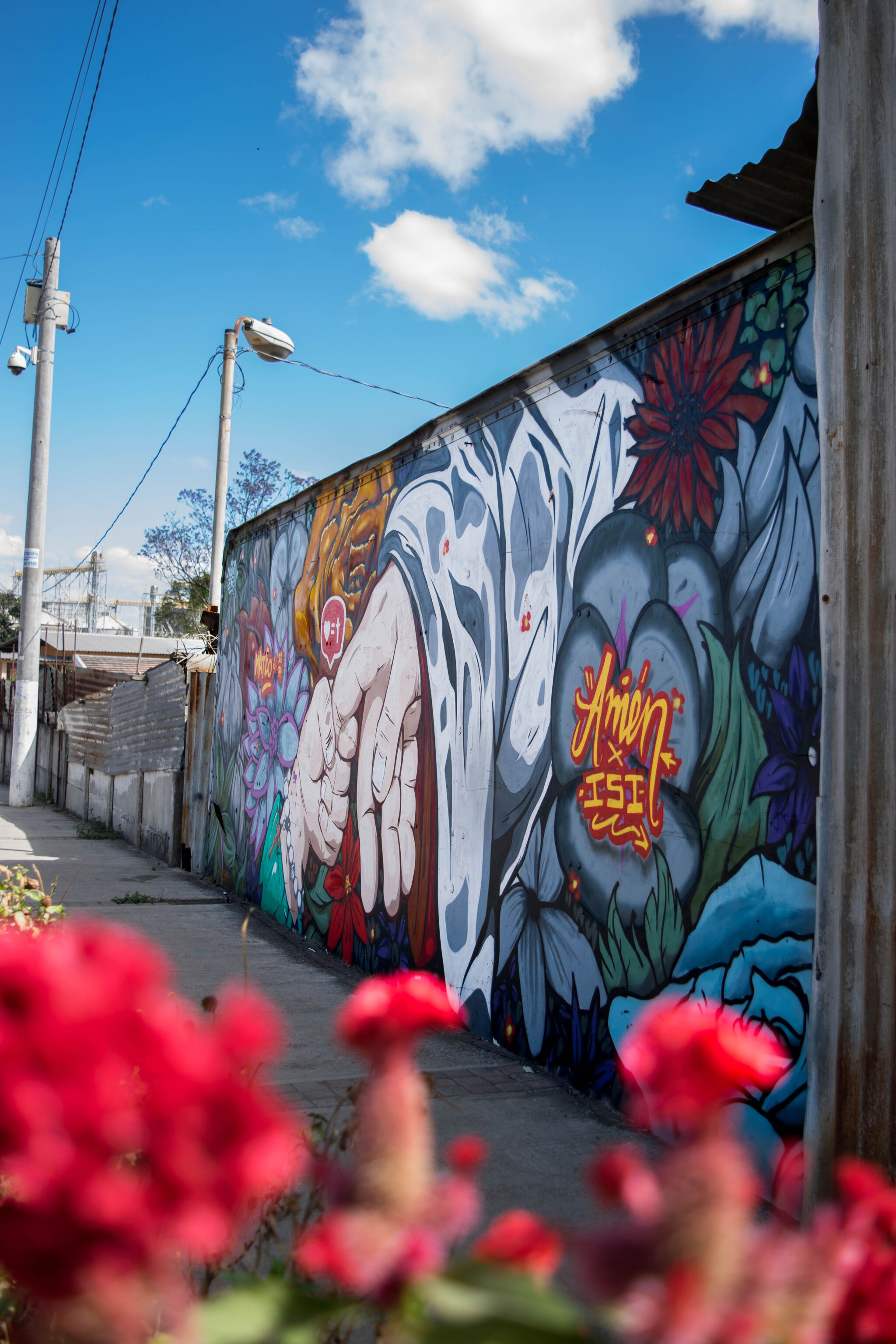 Souler, Enger&mdash;Hermosas a las flores