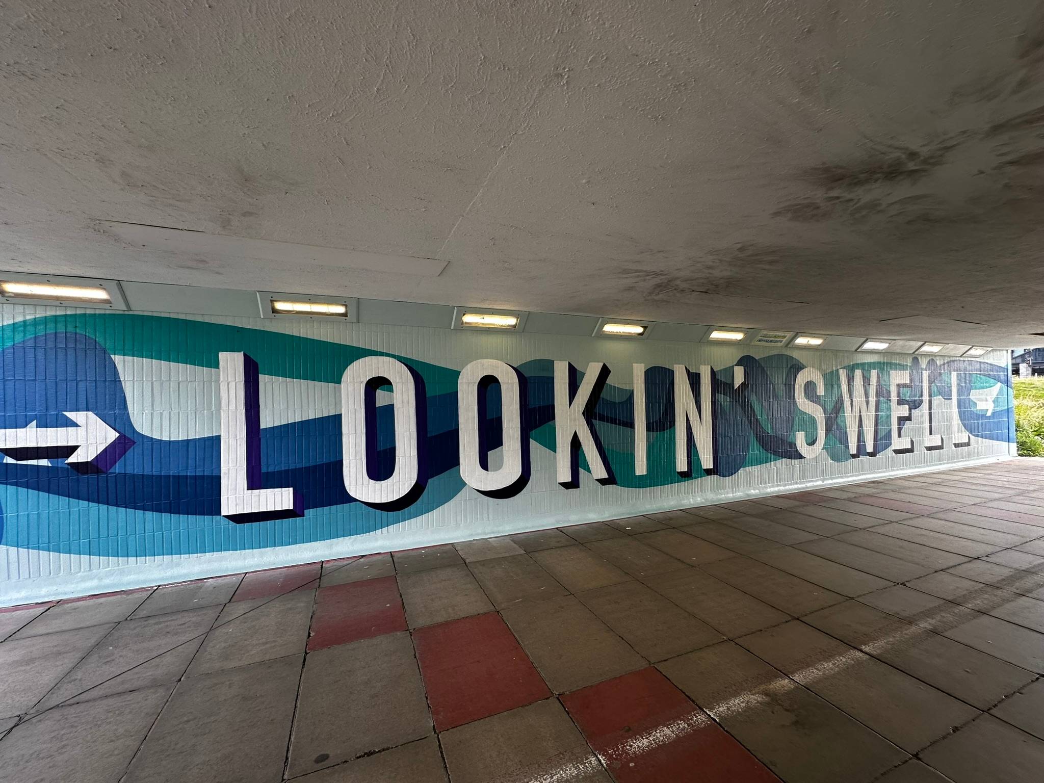 Eleanor Tomas, Sue Lewry&mdash;Lookin' Swell